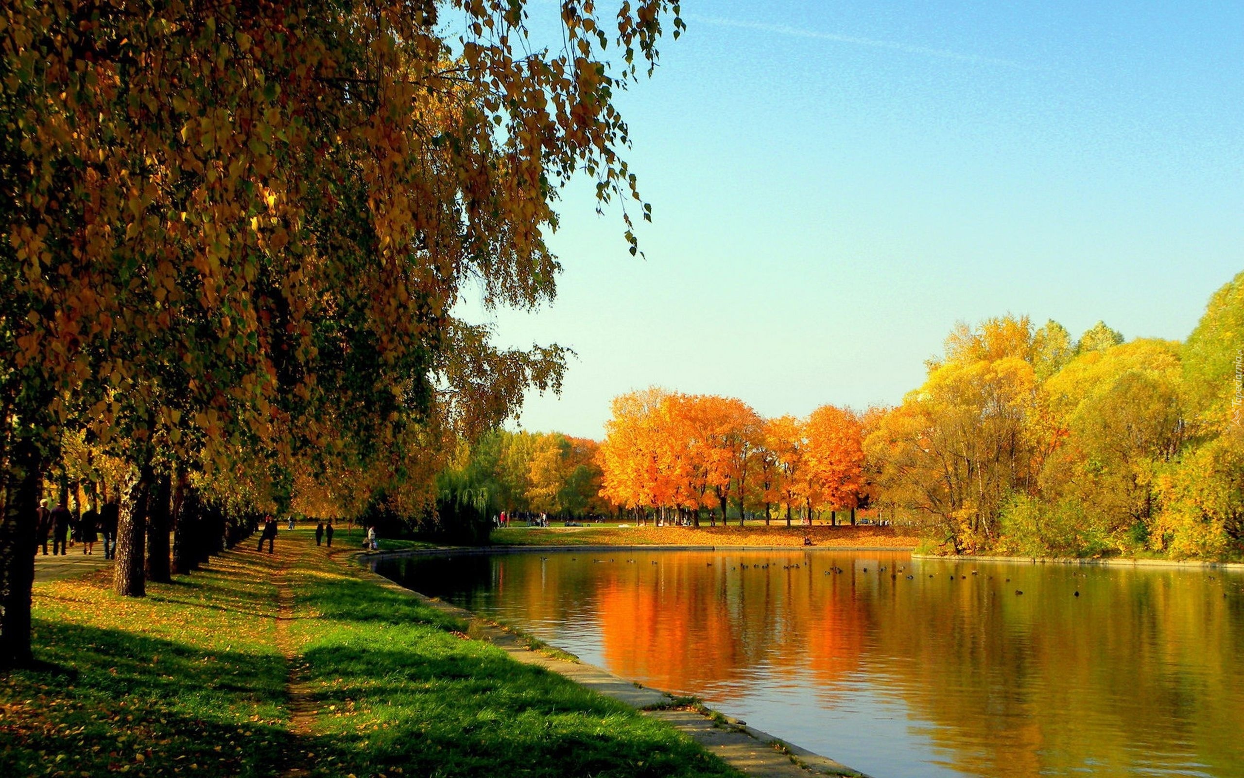 Park, Rzeka, Kolorowe, Drzewa, Jesień