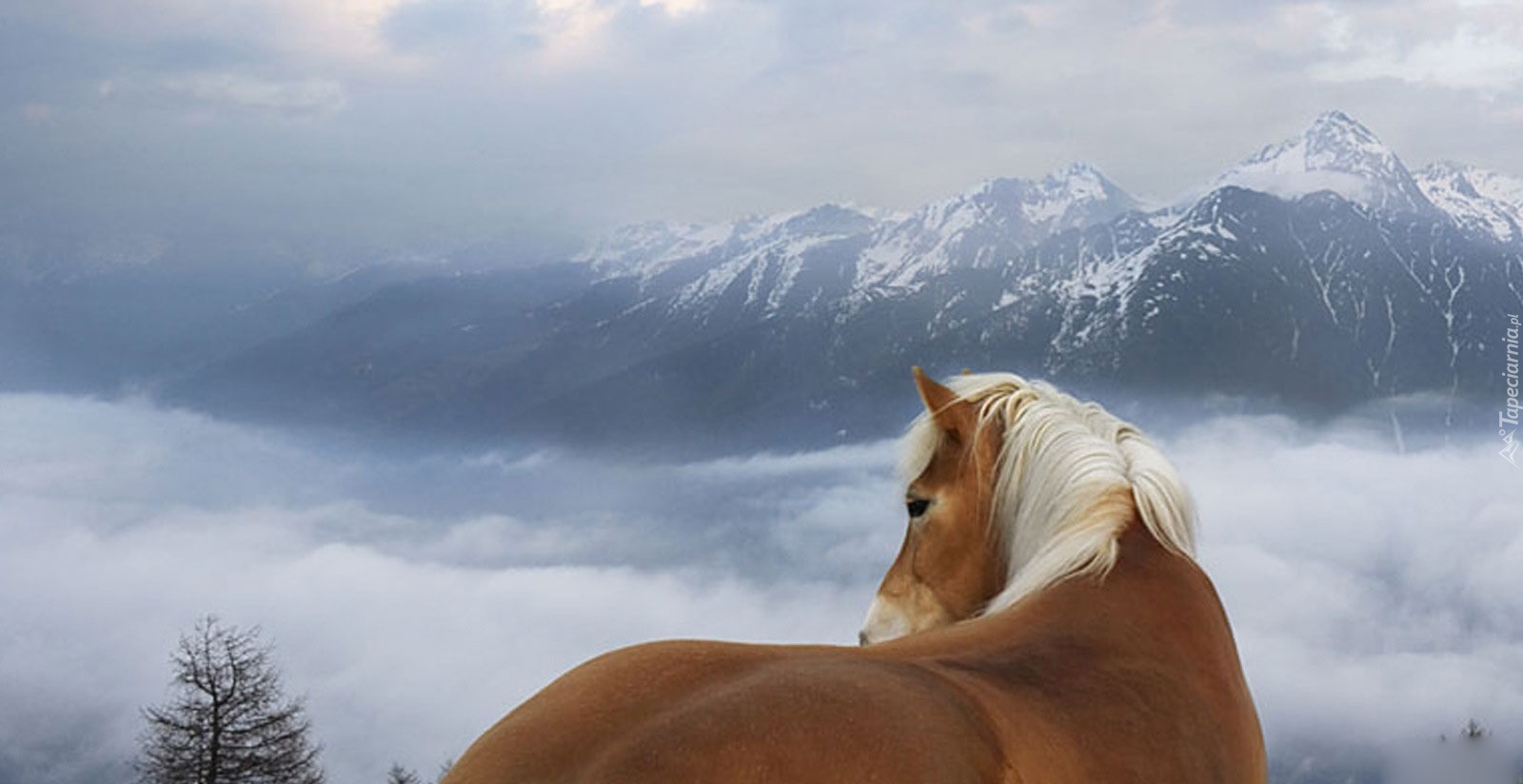 Góry, Koń, Chmury