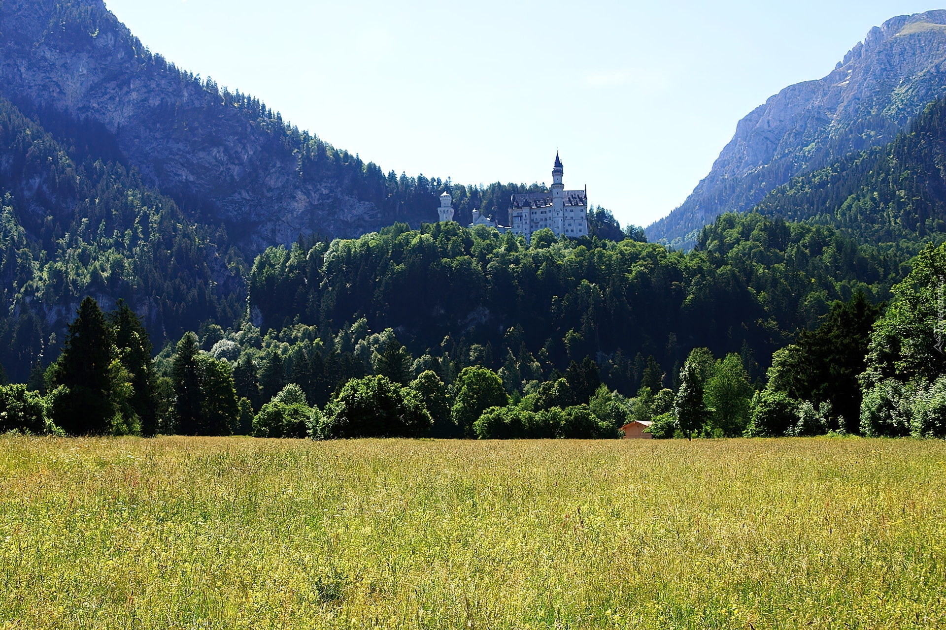 Zamek, Neuschwanstein, Łąka, Zalesione, Góry