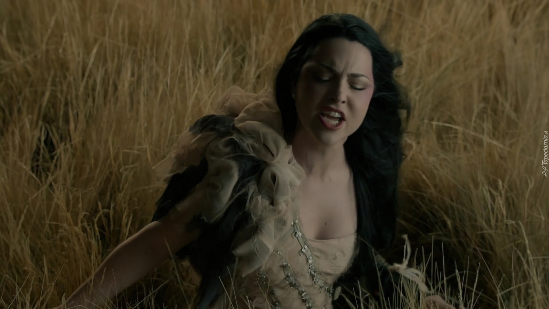 Amy Lee, Evanescence