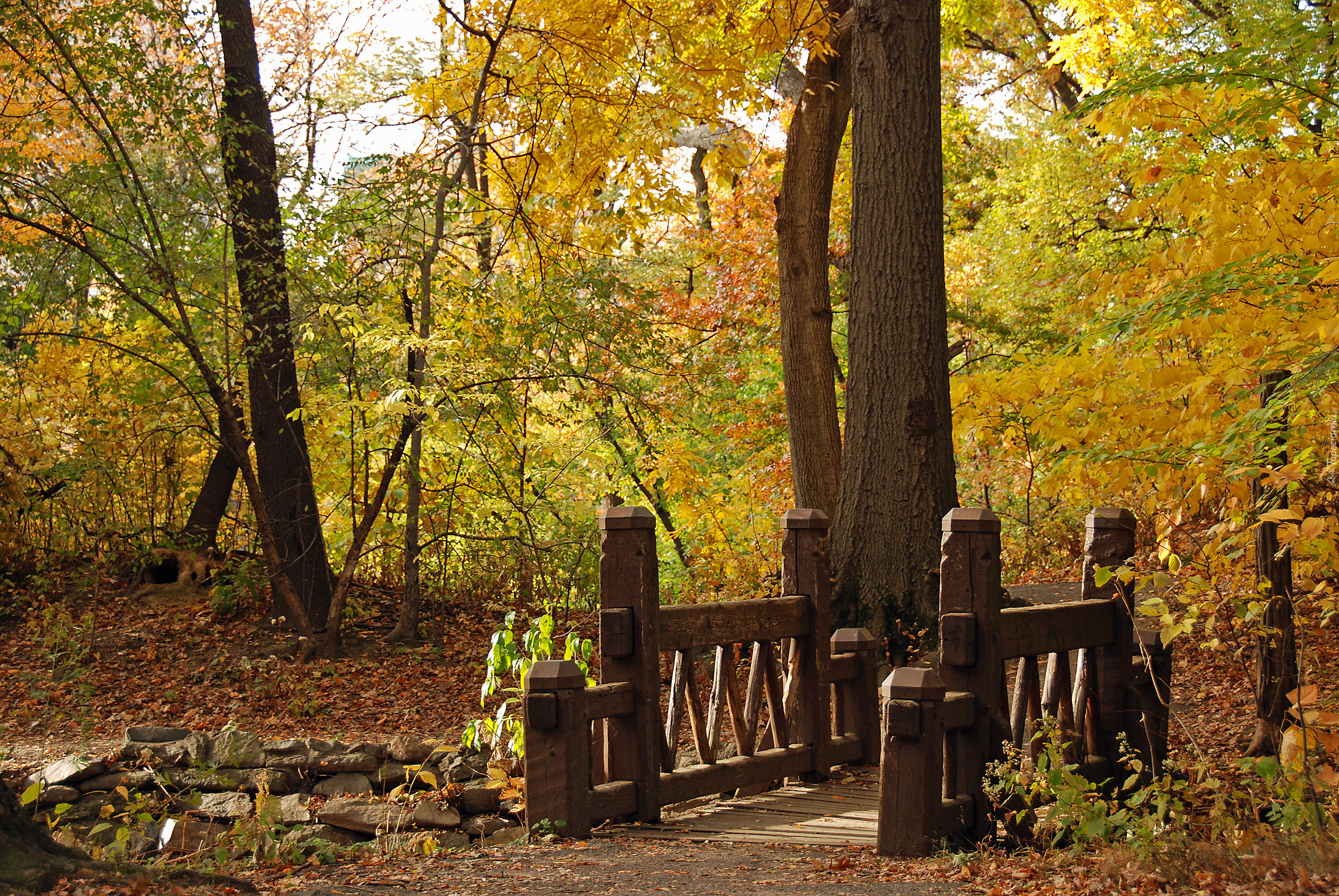 Park, Mostek, Liście, Jesień