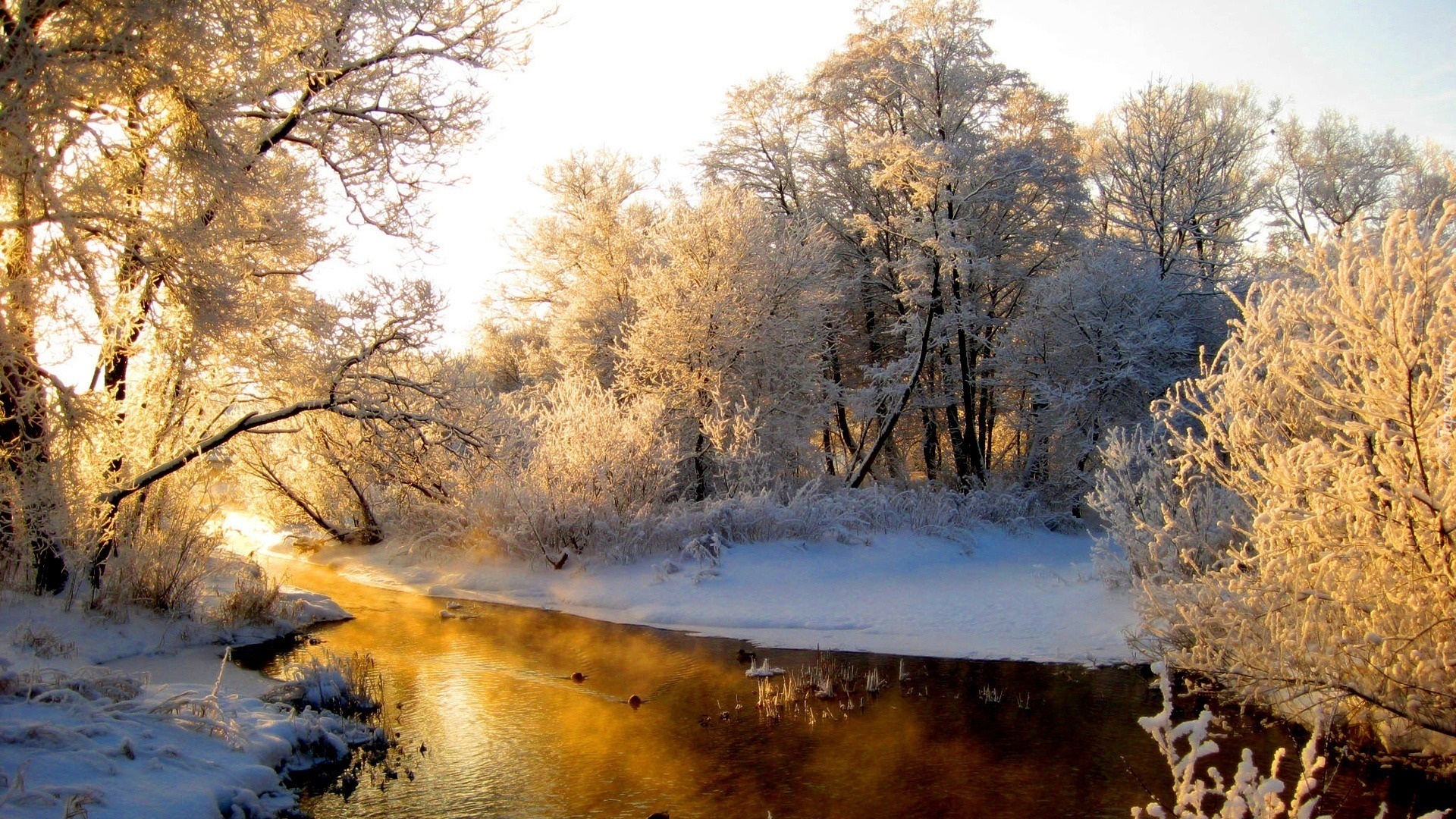 Rzeka, Ośnieżone, Drzewa, Zima