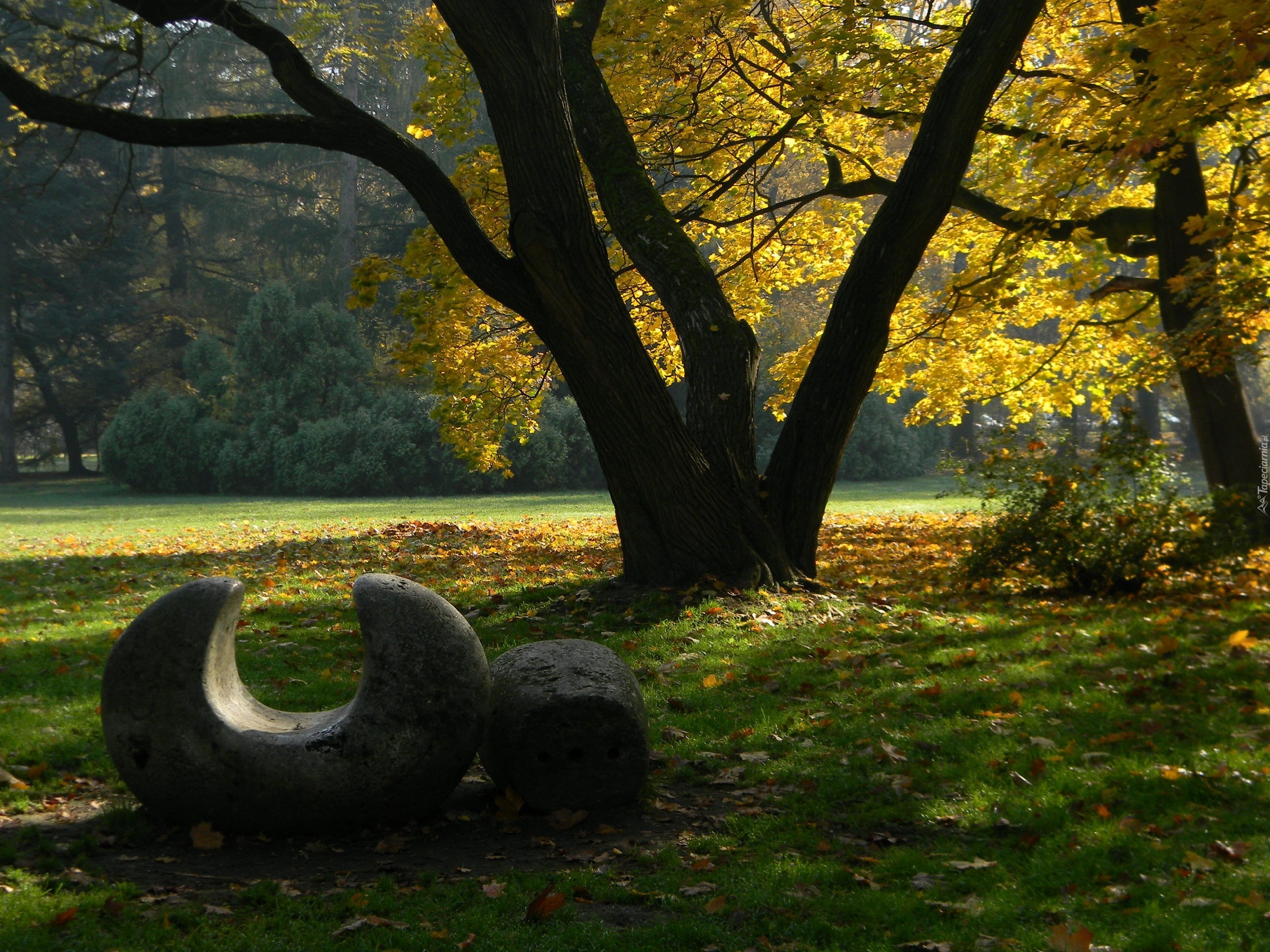 Jesienny, Park, Rzeźba