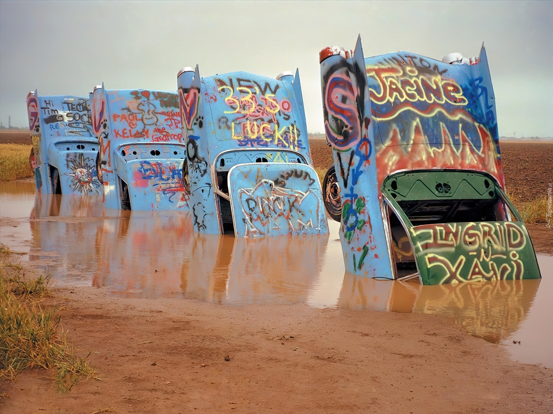 Wpół, Zatopione, Samochody, Texas