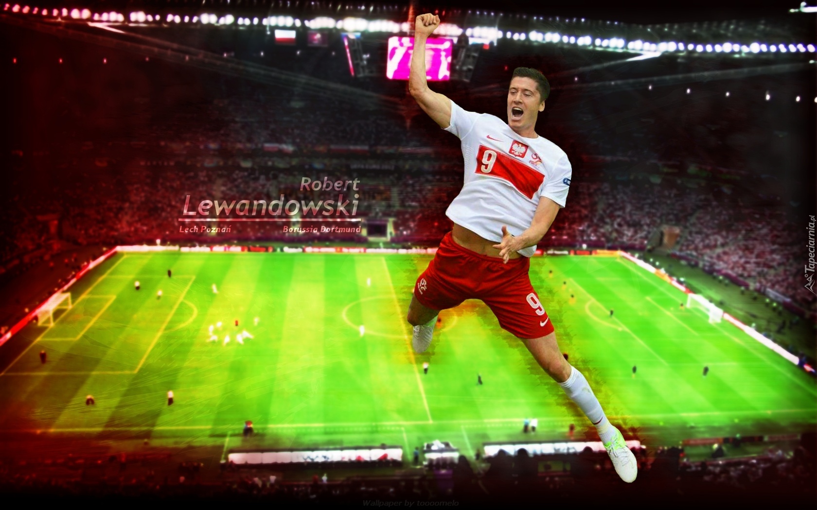 Robert Lewandowski, Boisko, Stadion