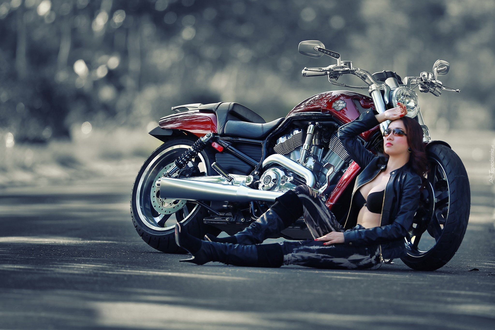 Harley, Davidson, Piękna, Brunetka