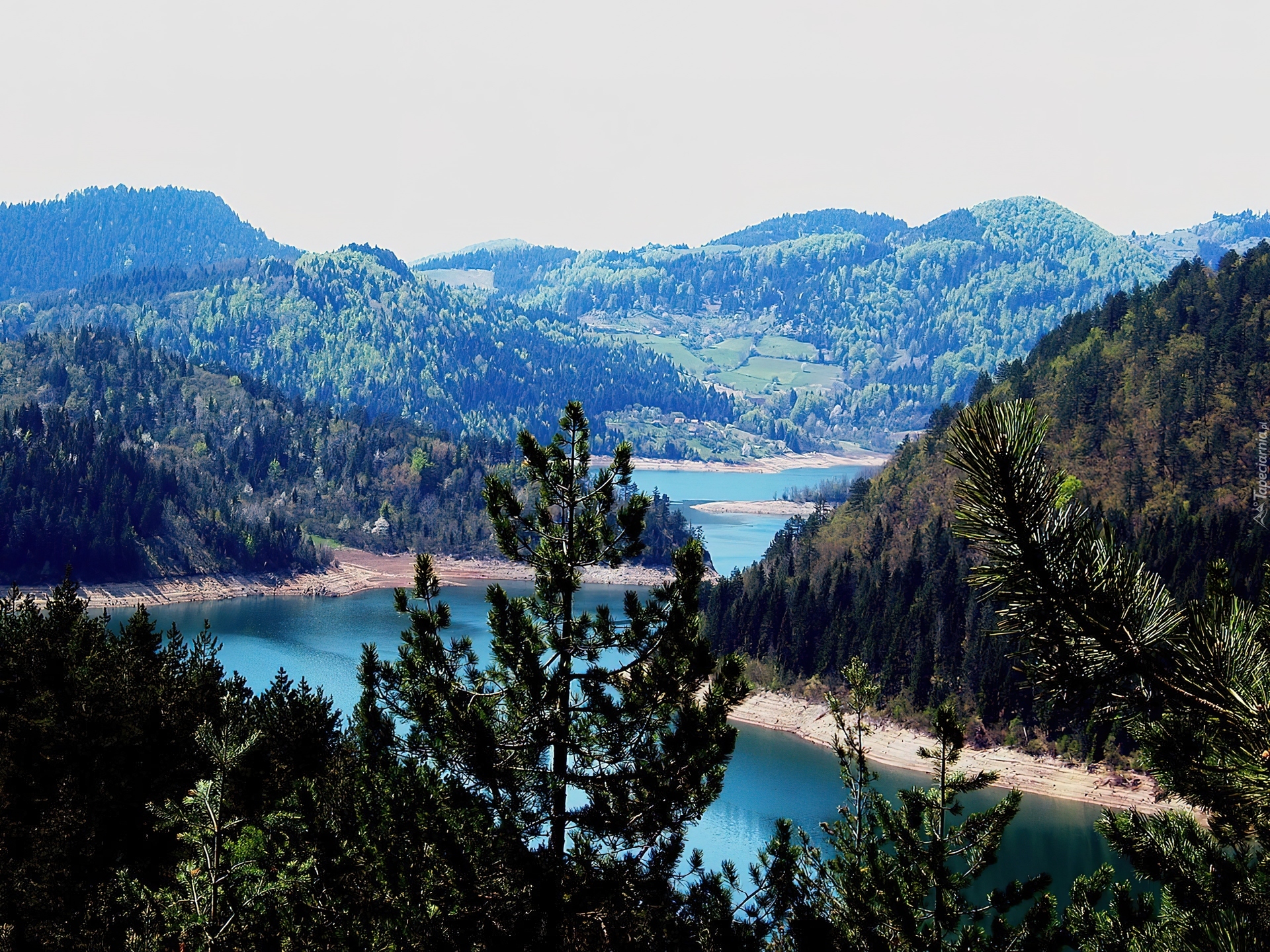 Jezioro, Zalesione, Góry, Zaovine, Serbia