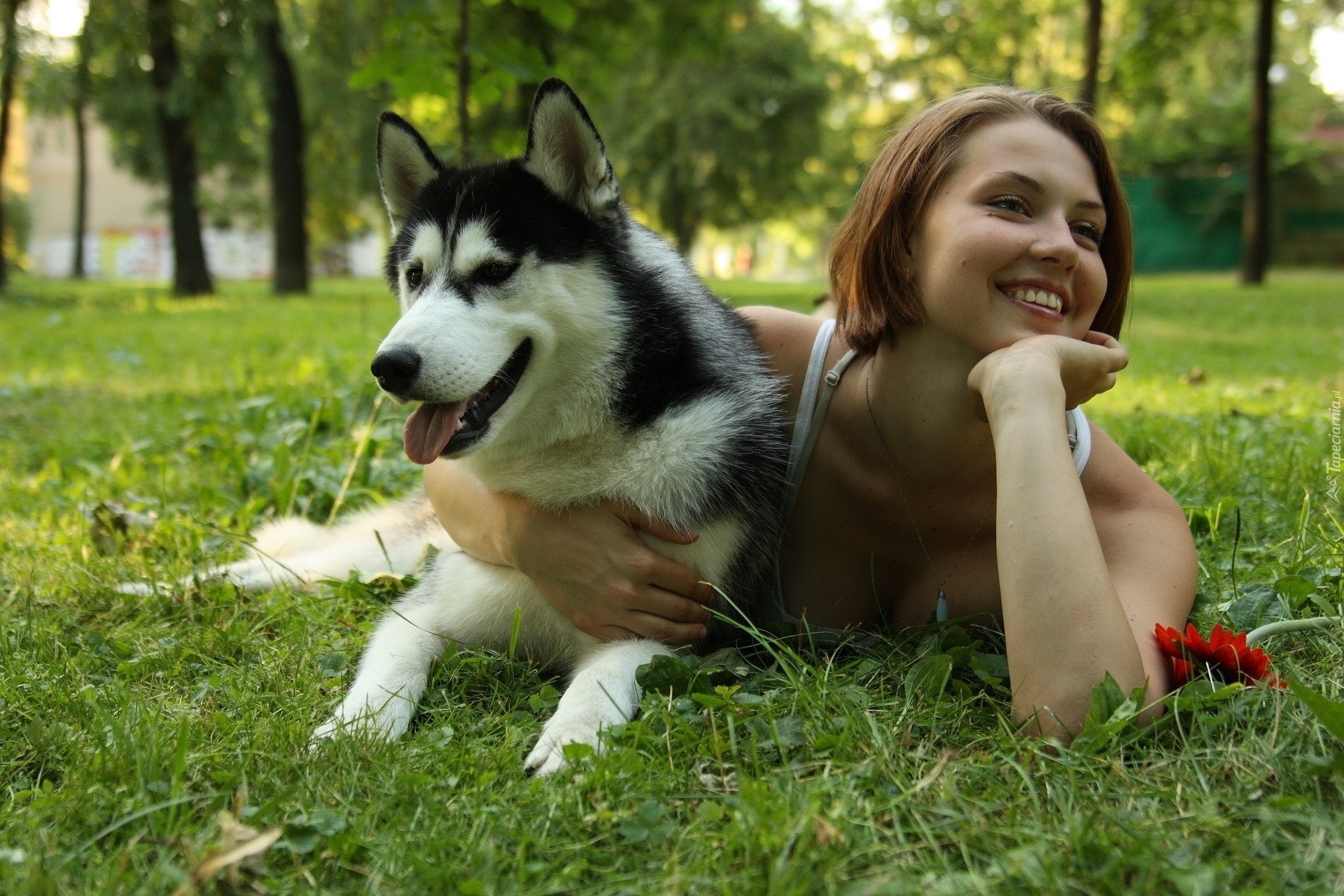 Syberian Husky, Dziewczyna, Park