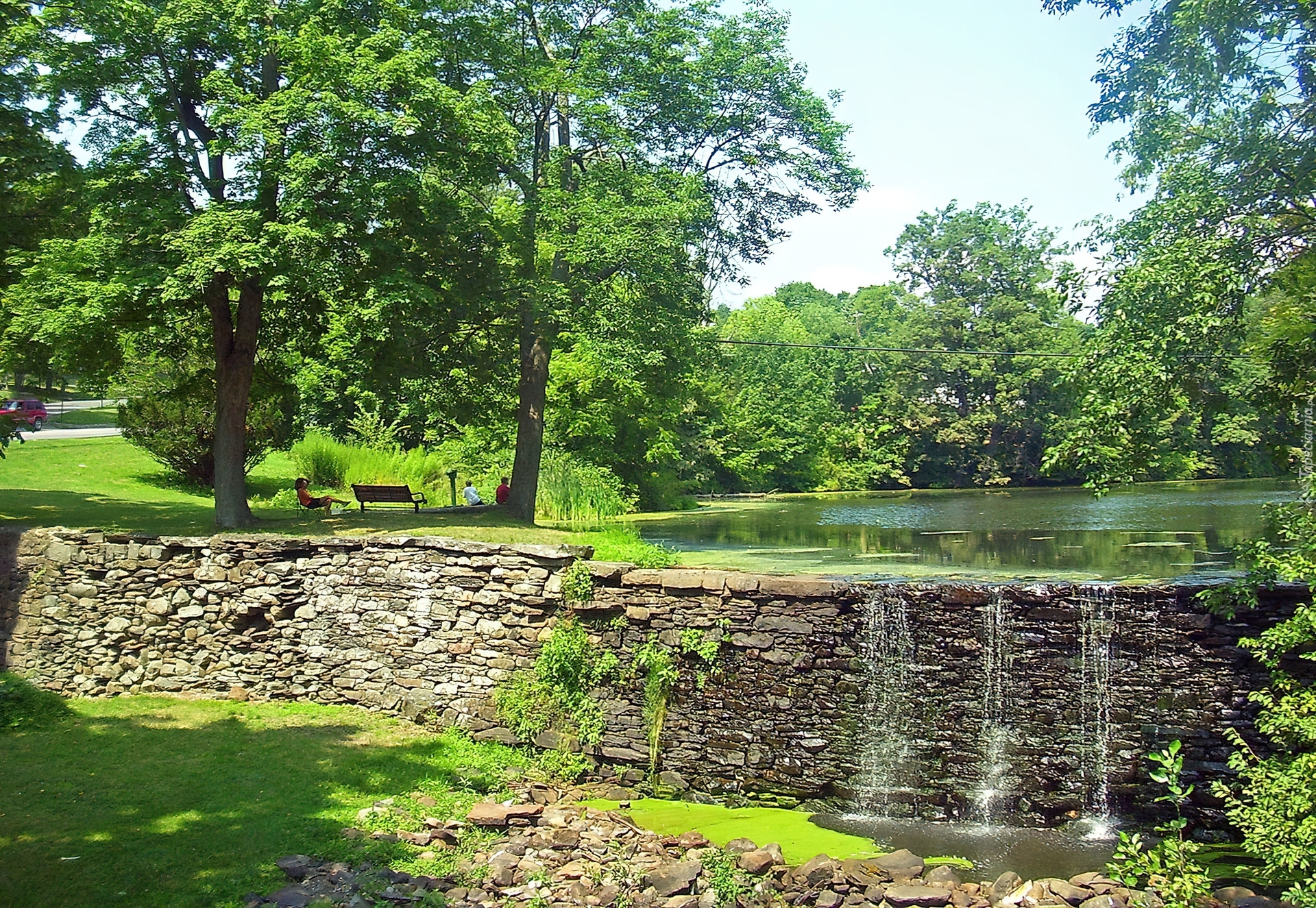 Park, Staw, Ławeczki