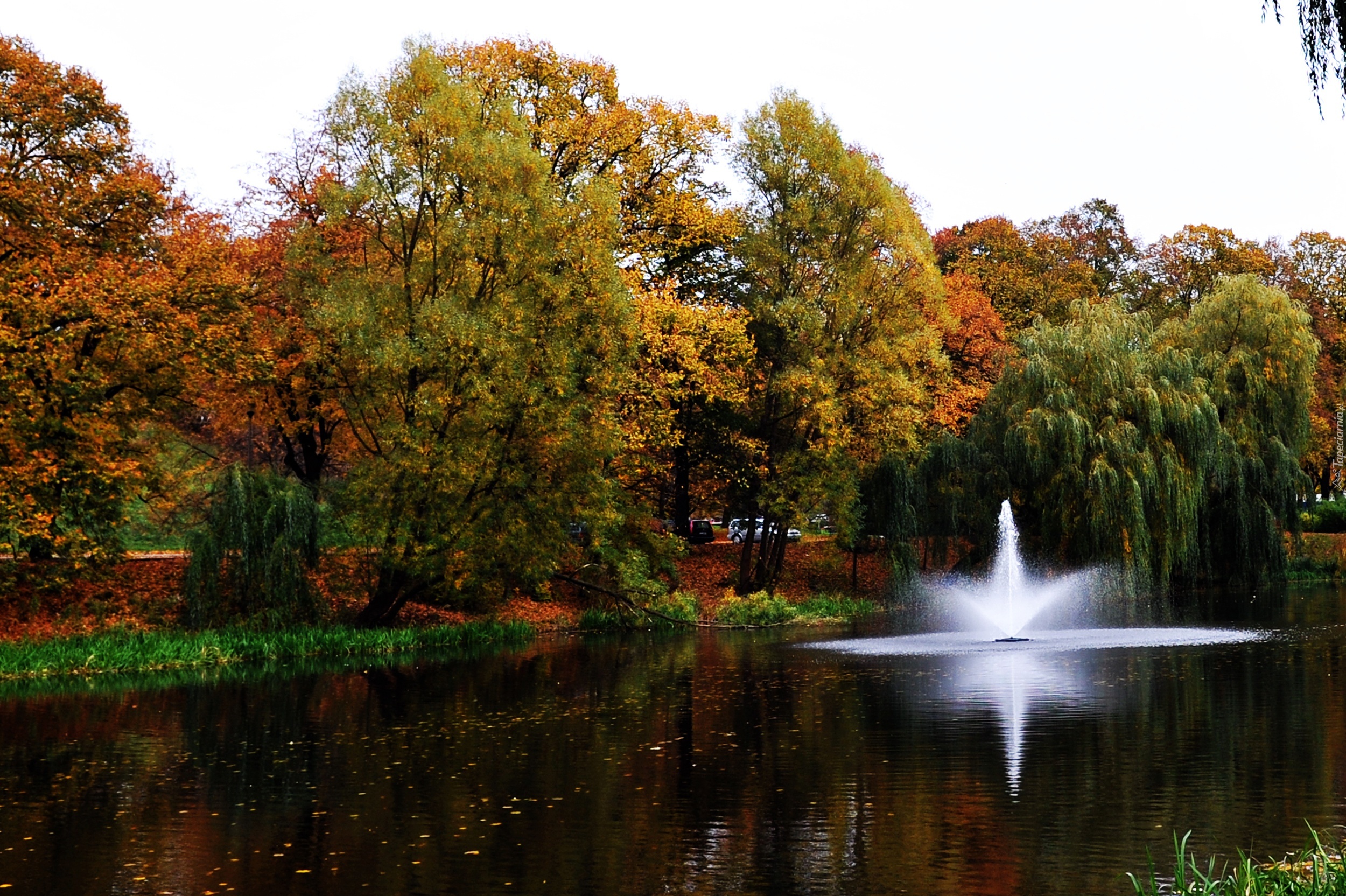 Park, Jesienią, Kolorowe, Drzewa, Fontanna