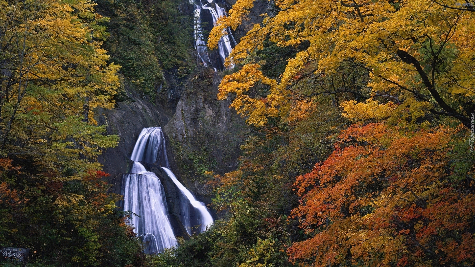 Jesień, Wodospad, Skały, Drzewa
