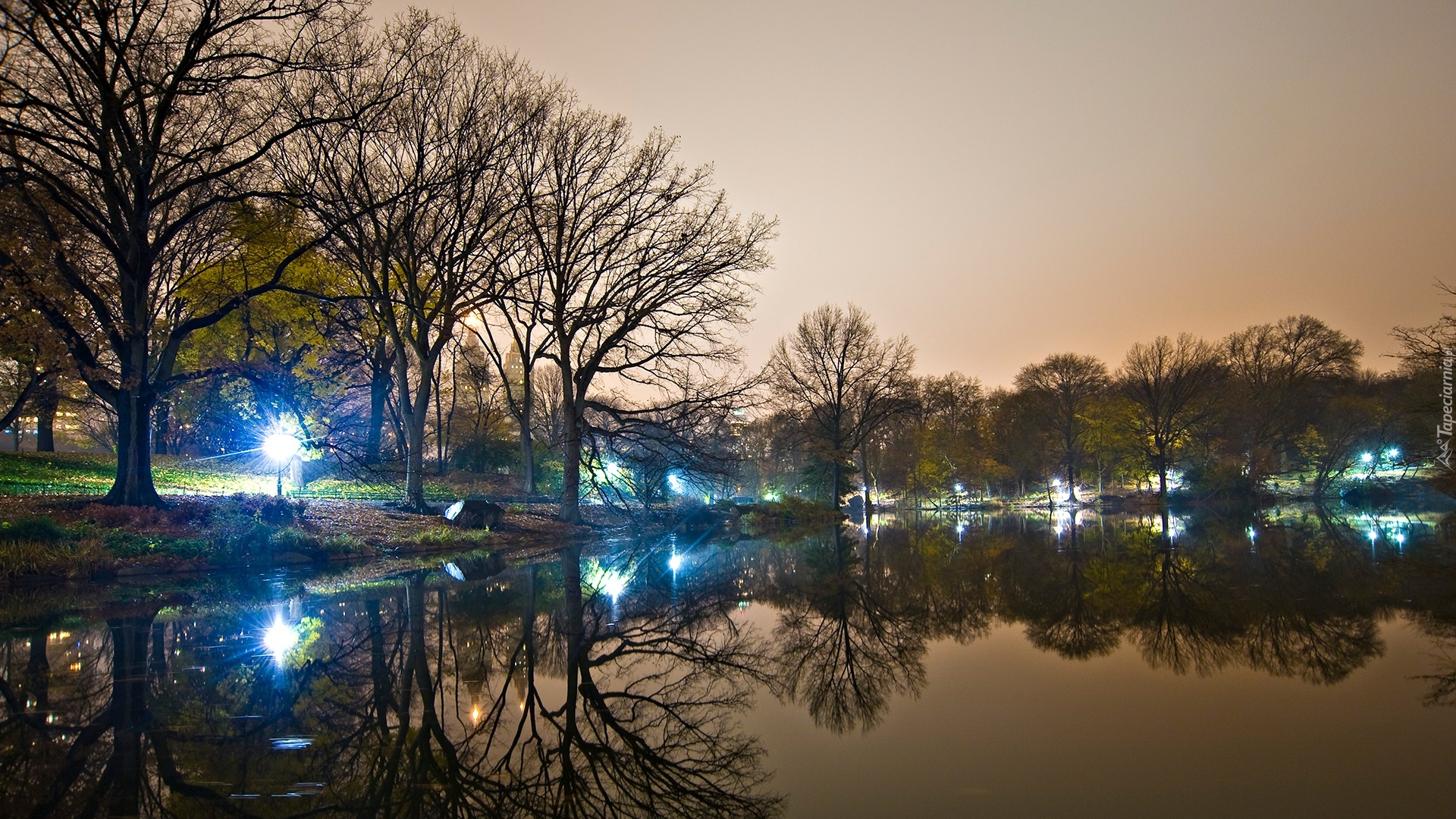 Zmierzch, Oświetlony, Park, Jezioro