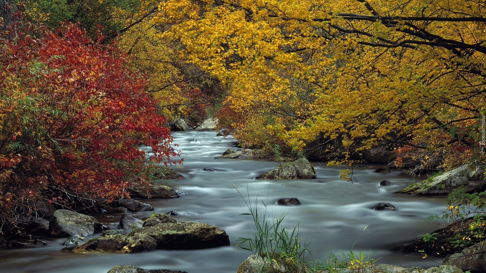 Jesień, Rzeka, Kamienie, Drzewa