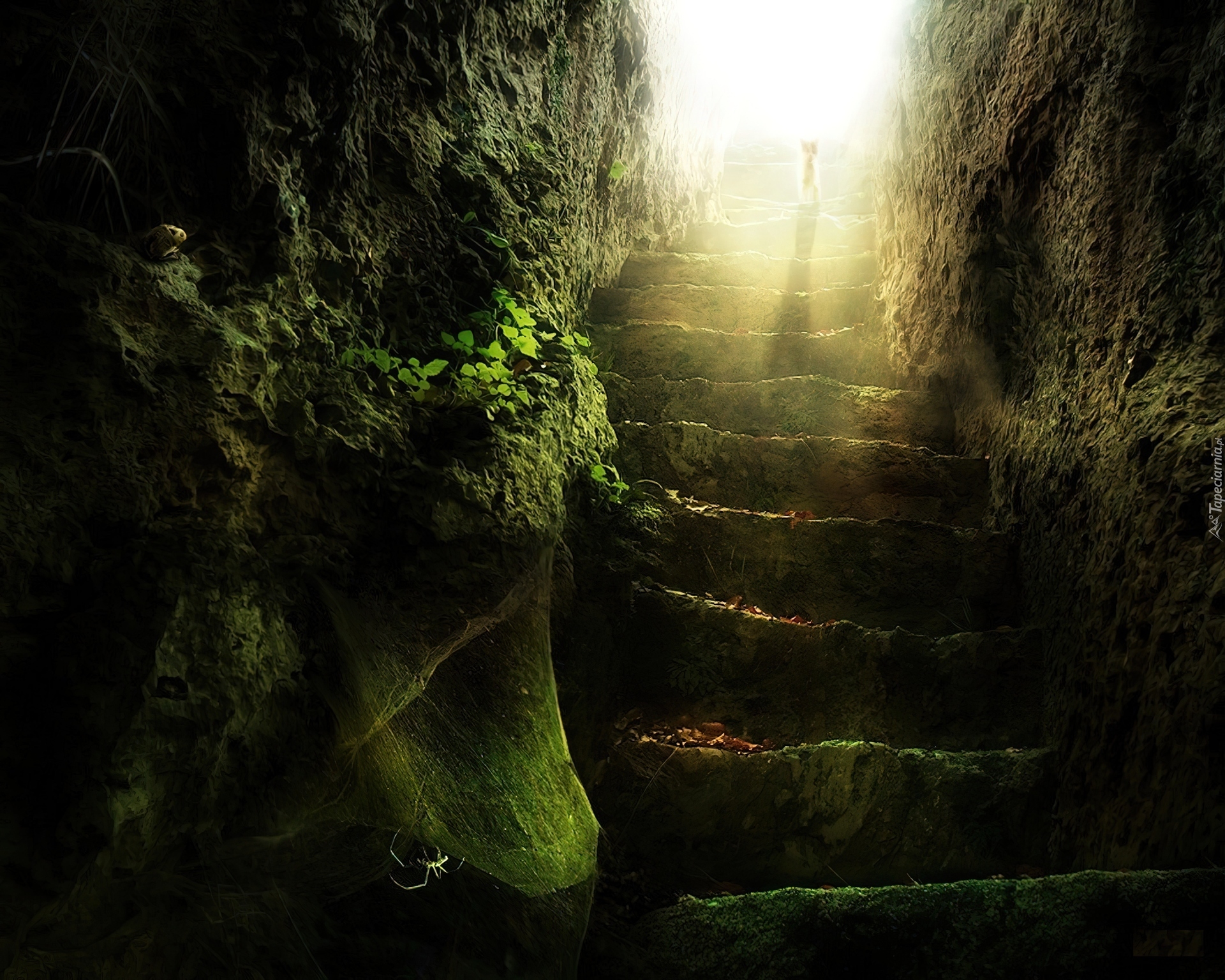 Несколько загадочных. Мистический фон. Мистическая лестница. Ступеньки в пещере. Загадочные места фон.