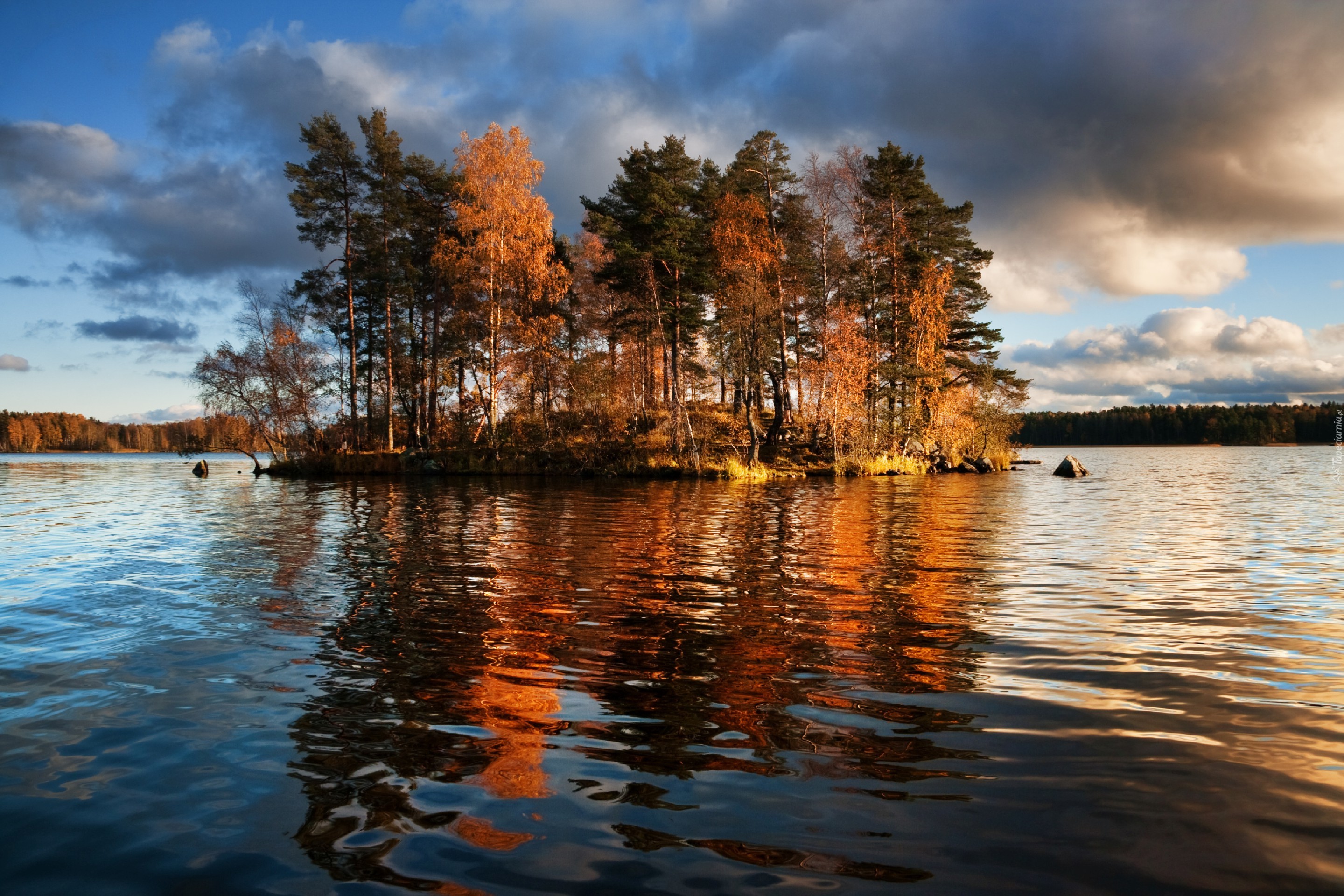 Jezioro, Wysepka, Drzewa, Vuoksa, Finlandia