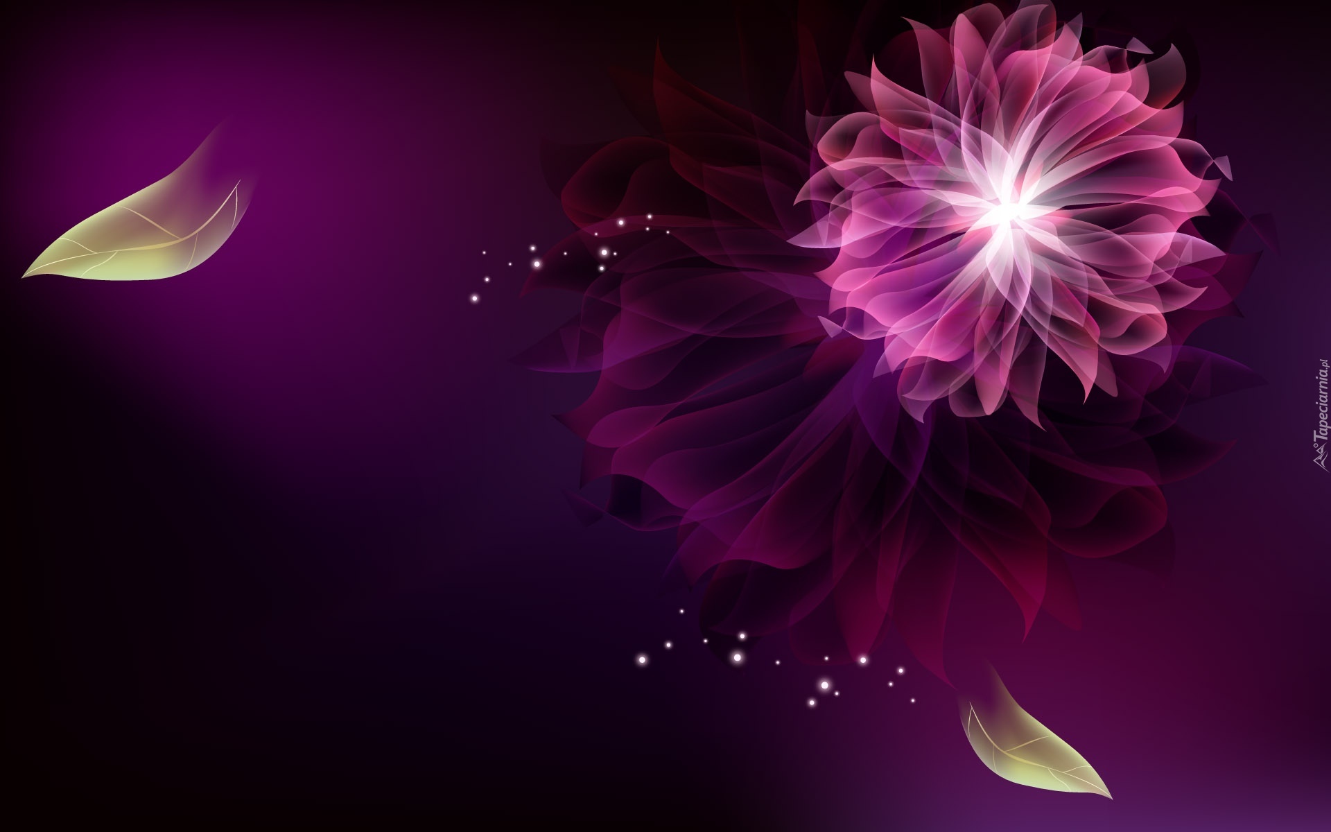 Kwiat, Fractalius