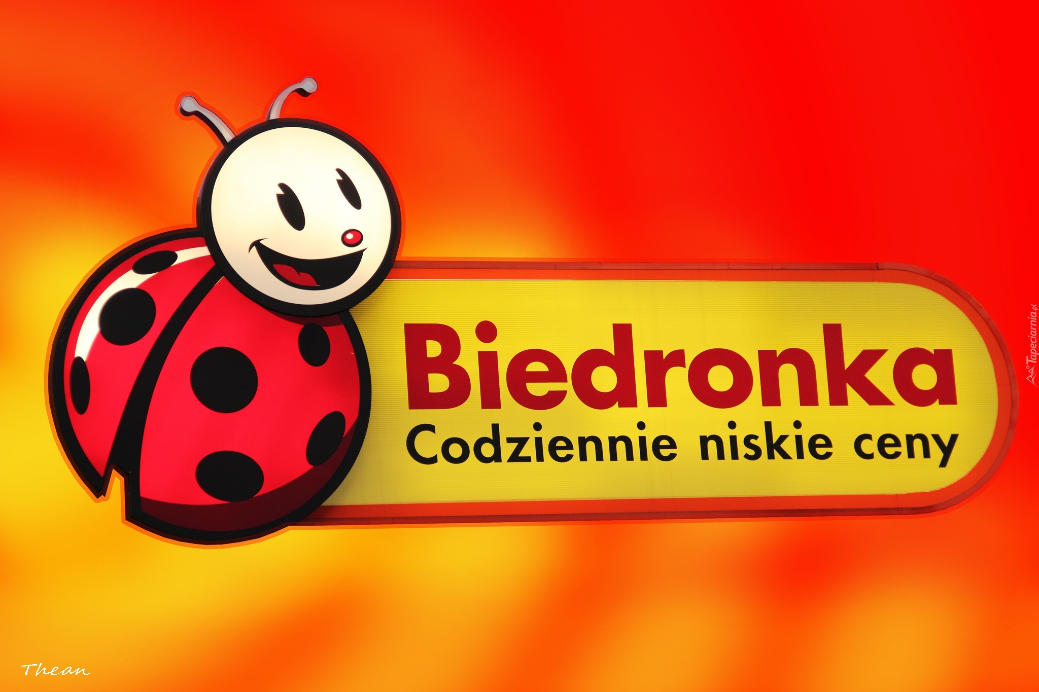 Reklama, Dyskont Biedronka