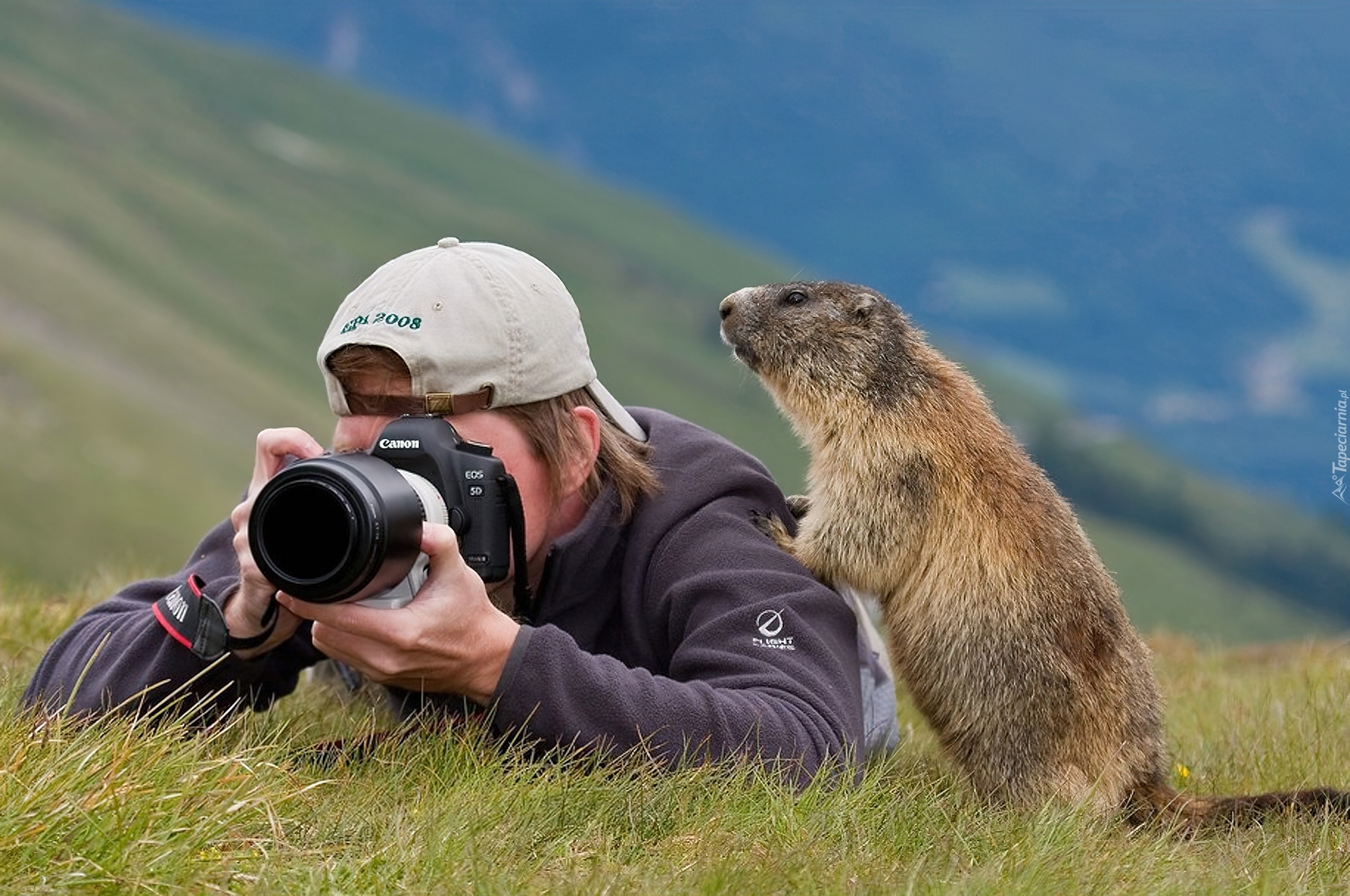 Fotograf, Świstak