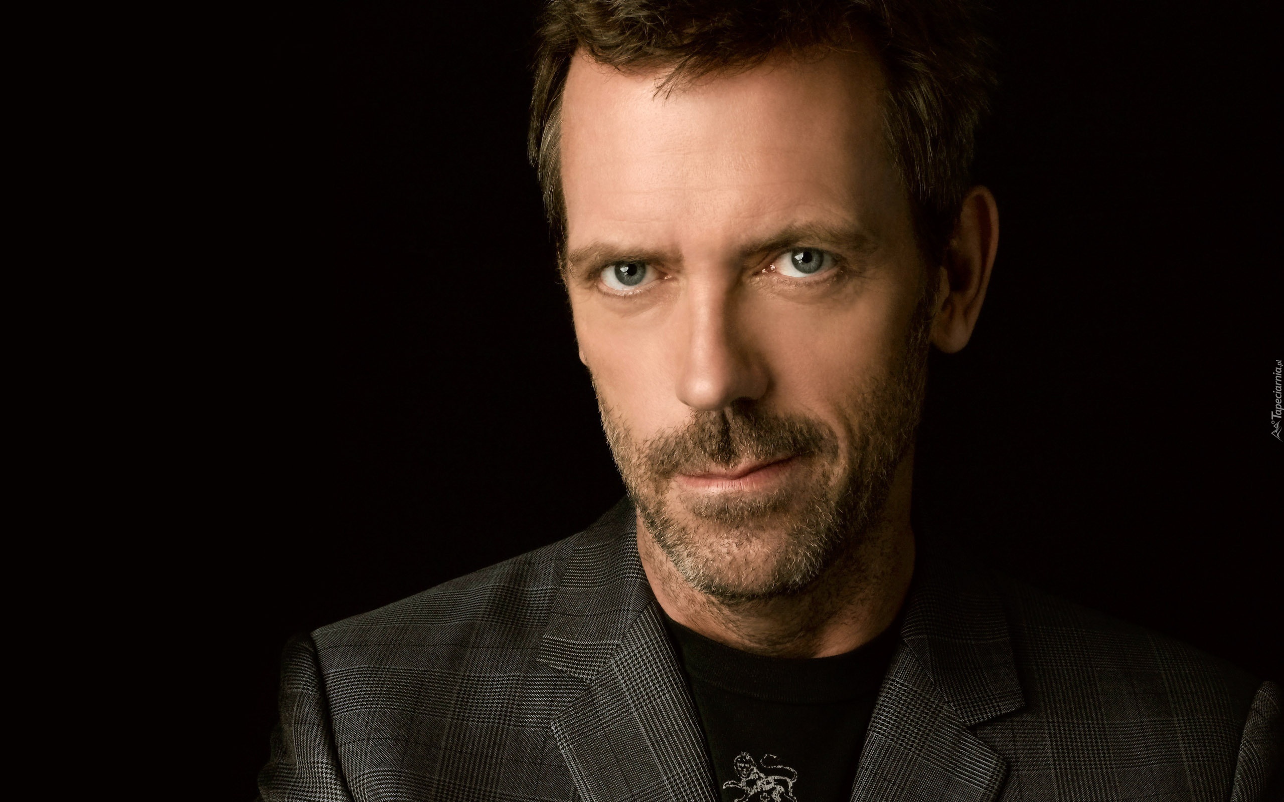 Aktor, Hugh Laurie, Portret