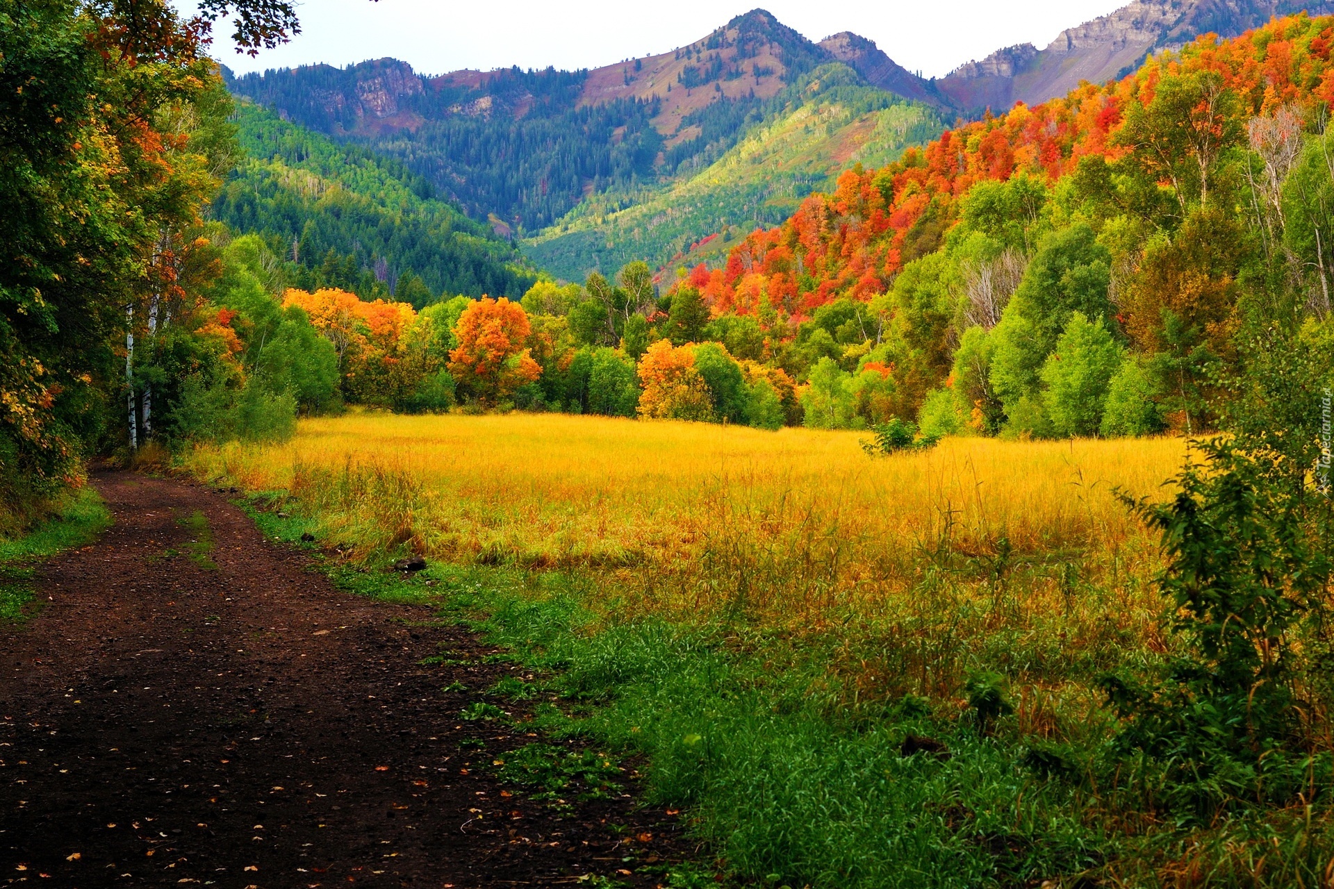 Góry, Lasy, Kolorowe, Drzewa, Jesień