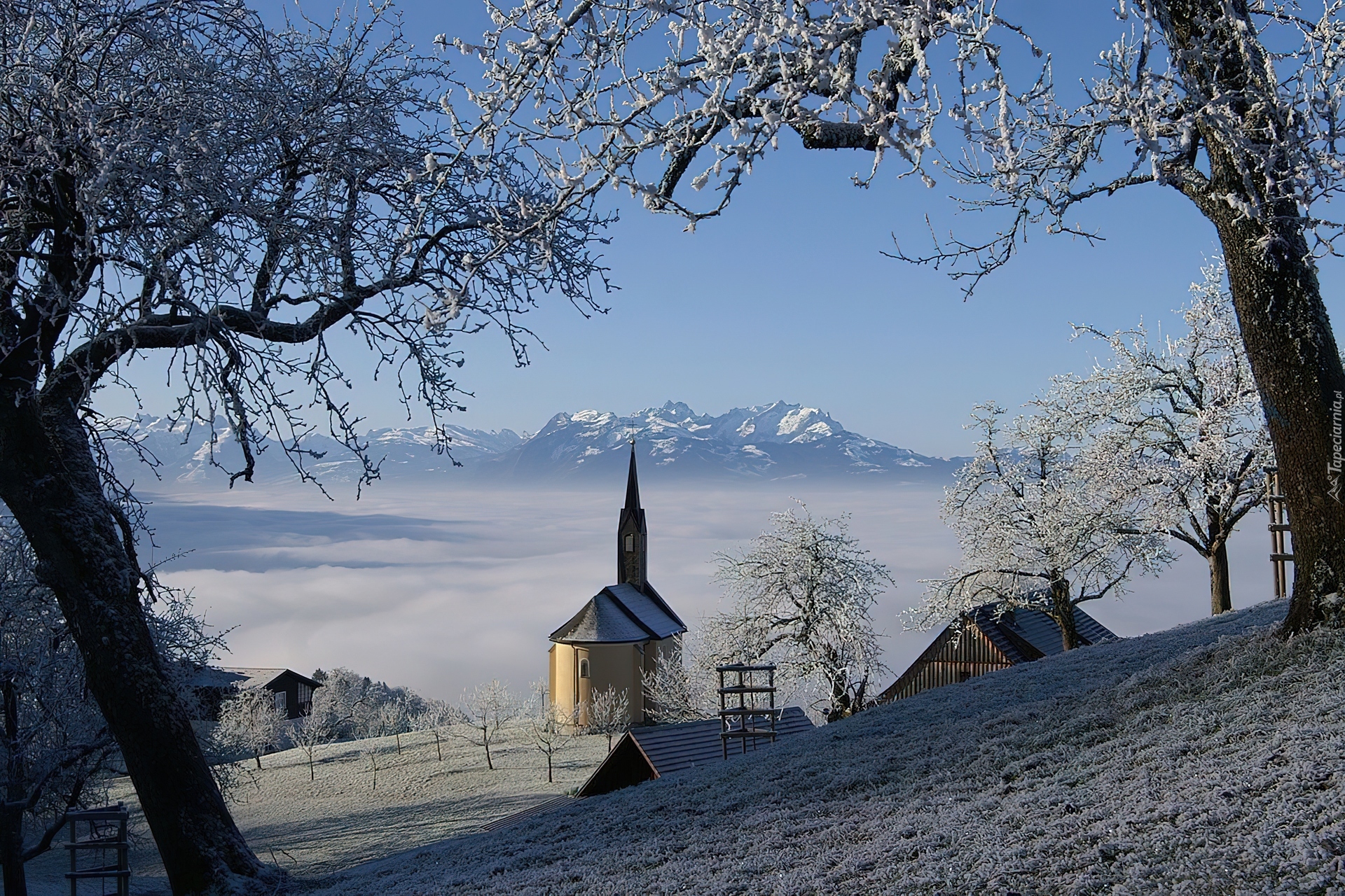 Zima, Kościółek, Drzewa, Austria