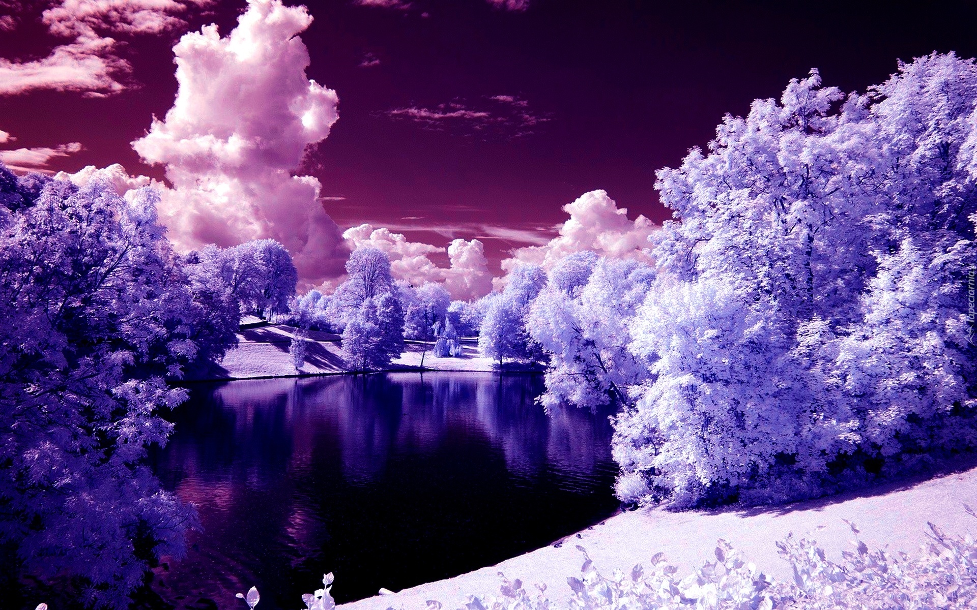 Chmury, Drzewa, Jezioro, Śnieg, Zima