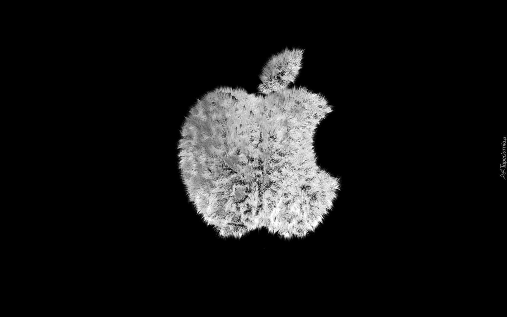 Apple, Logo