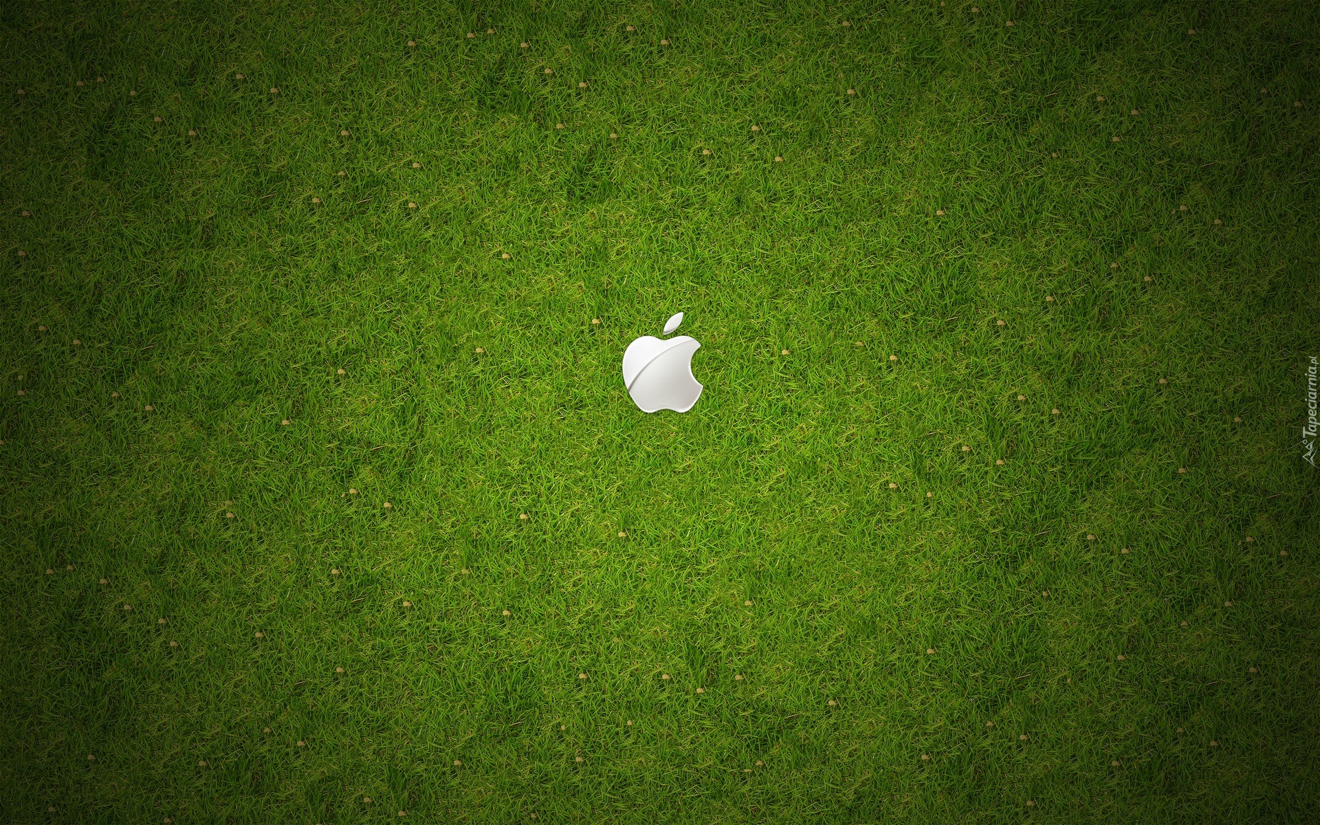 Apple, Logo, Łąka