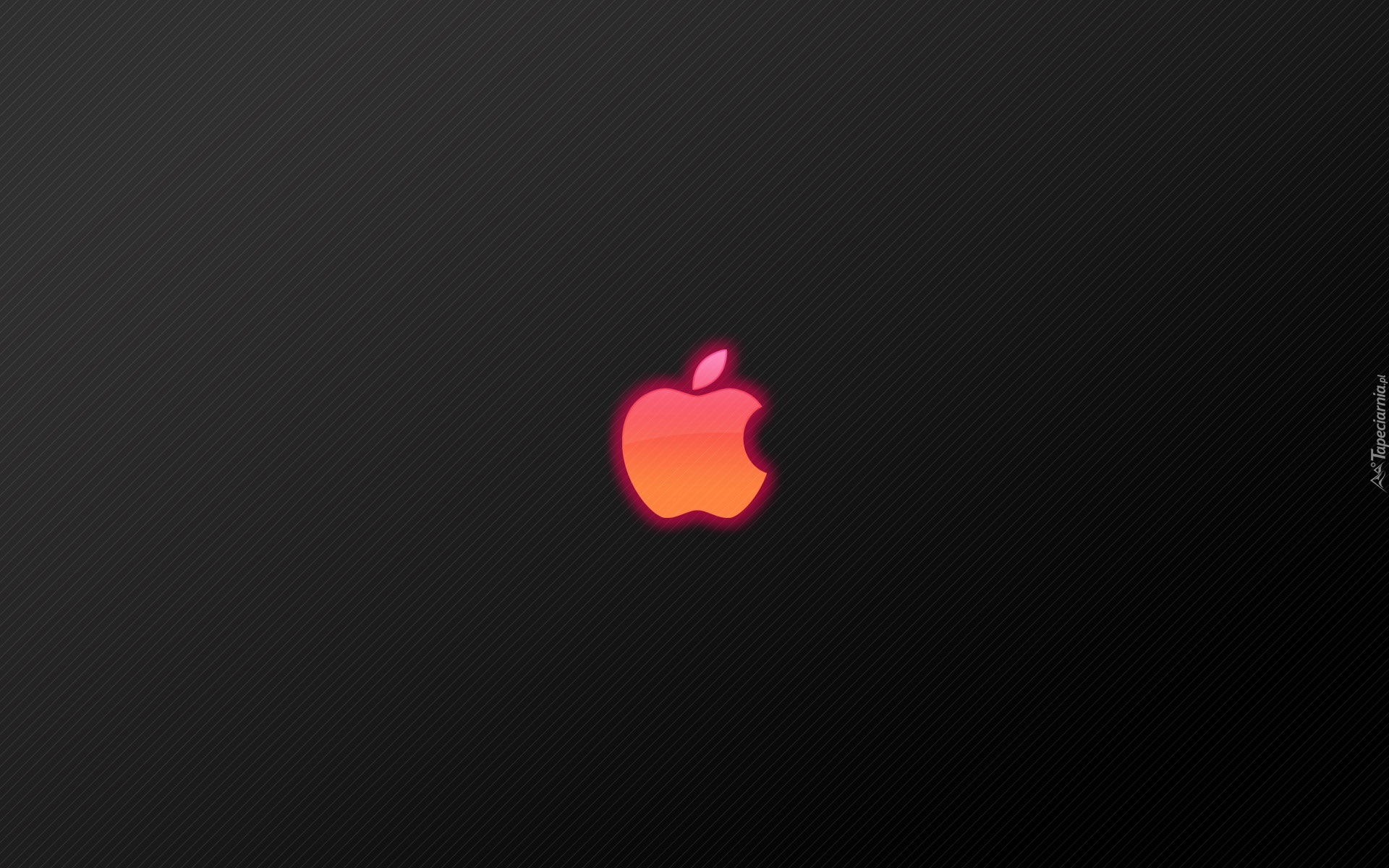 Apple, Logo, Różowa, Poświata