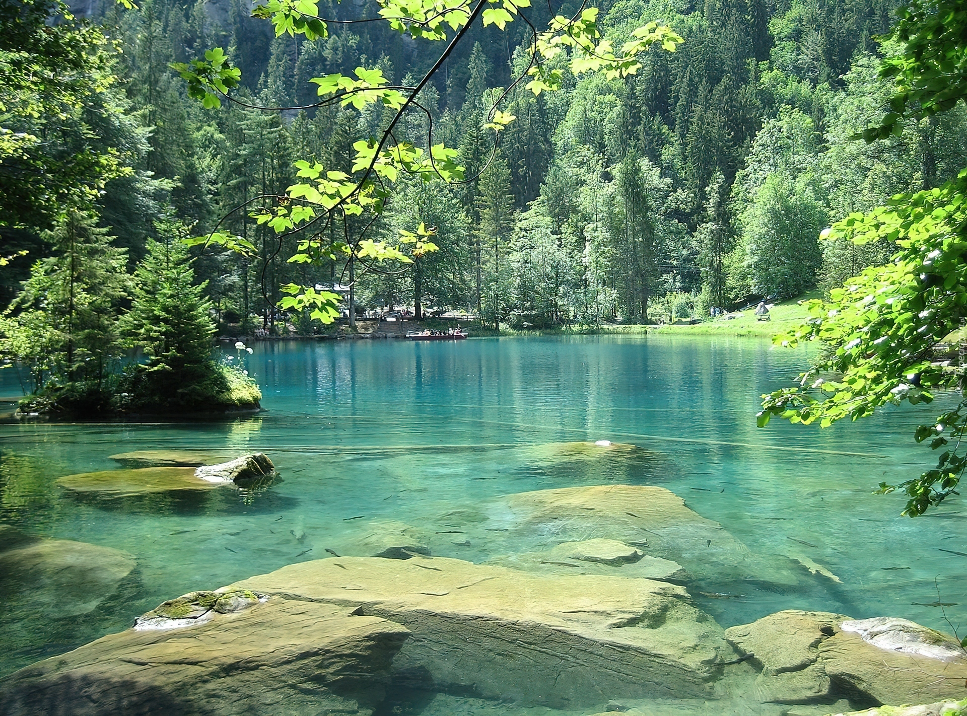Niebieskie, Jezioro, Kamienie, Las, Szwajcaria