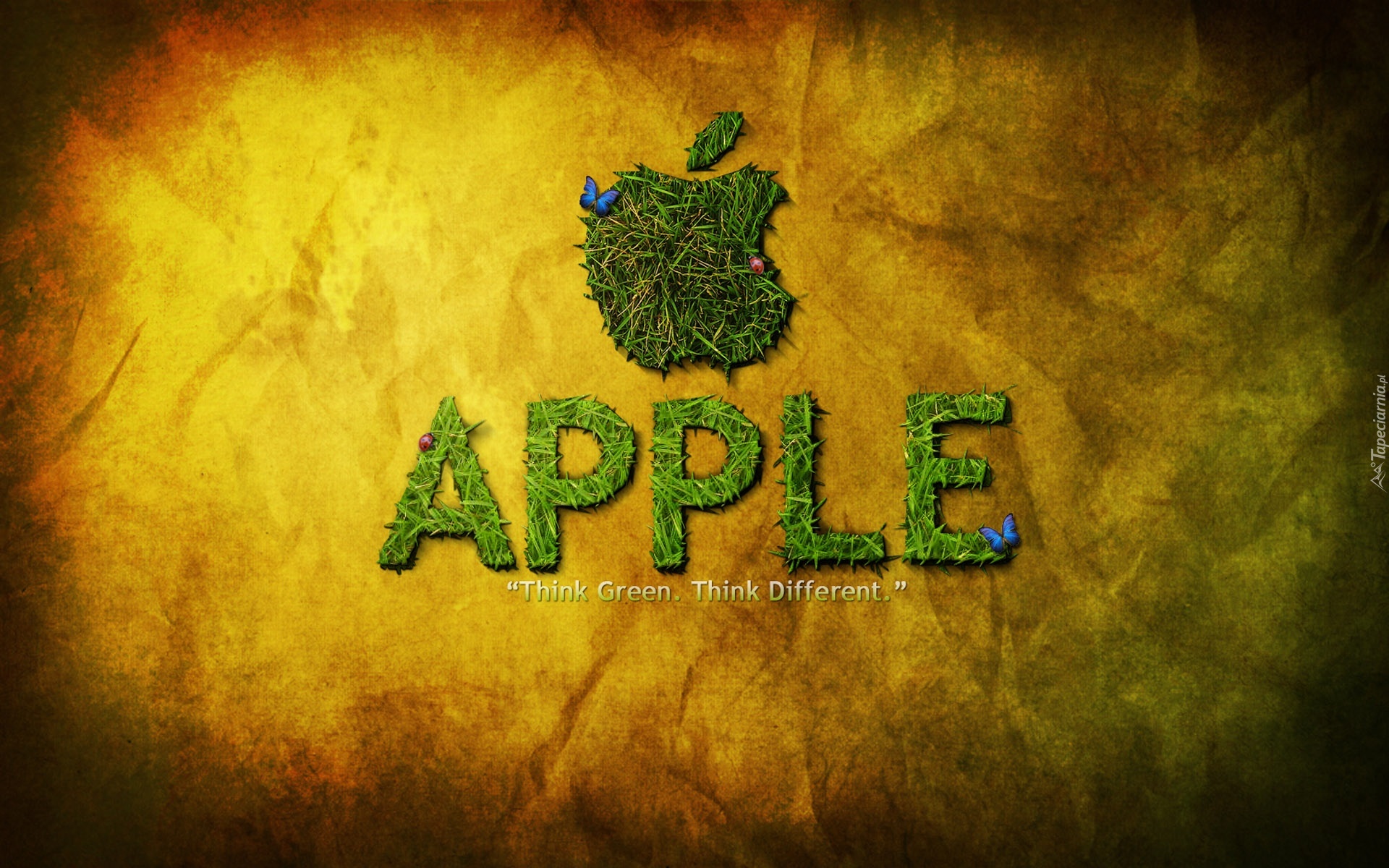 Apple, Logo, Napis, Trawa