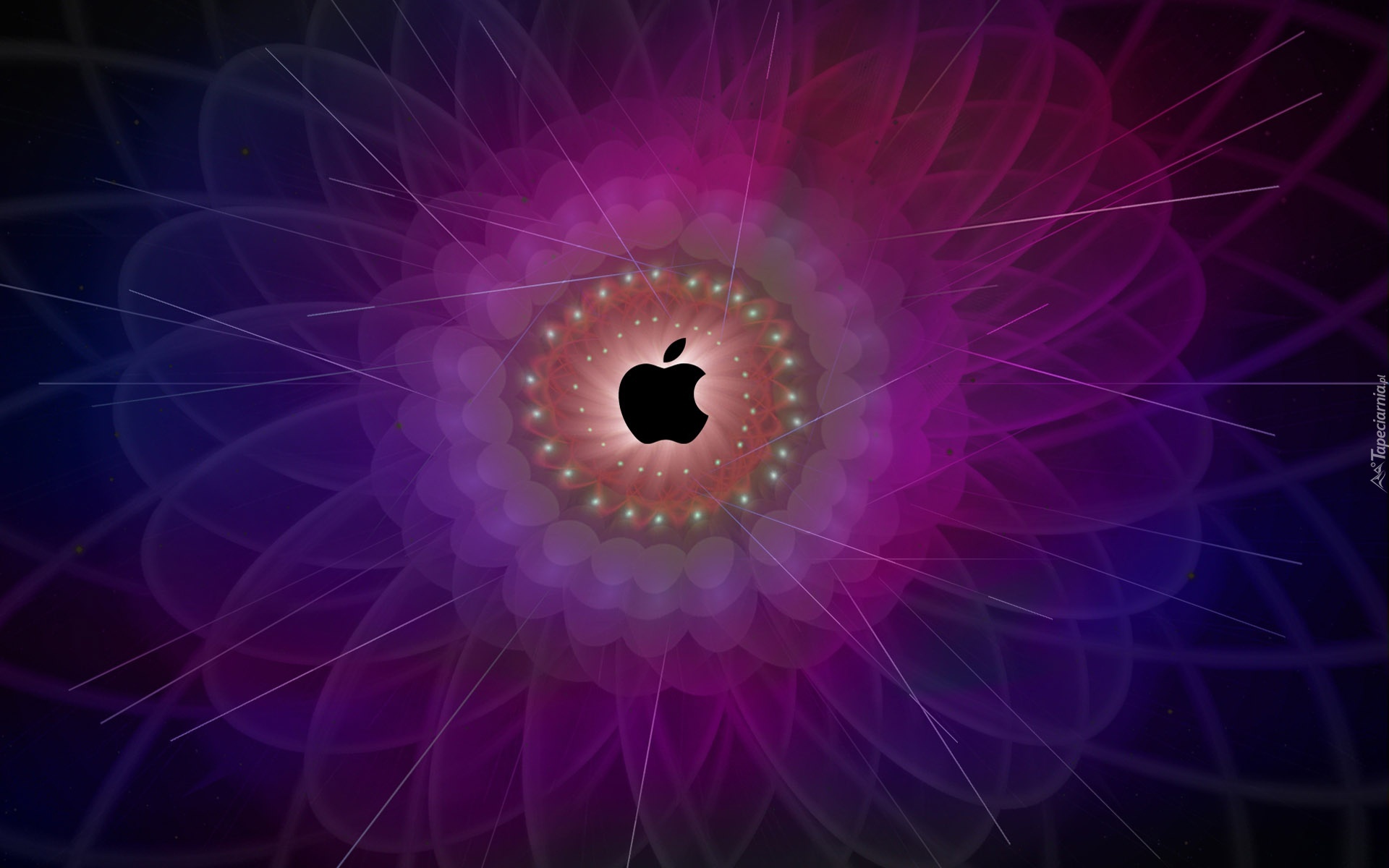Apple, Logo, Fioletowe, Tło, Fraktal