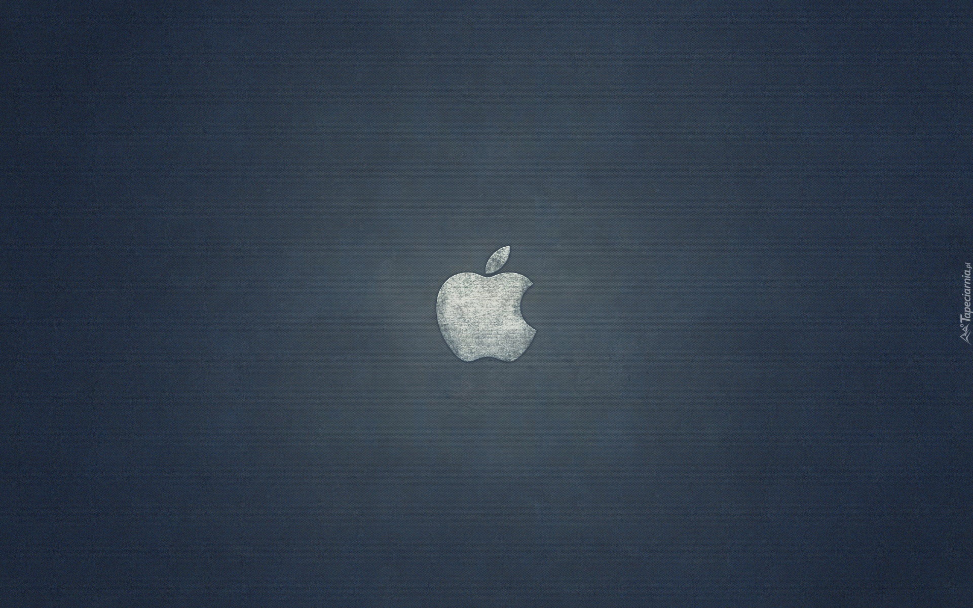 Apple, Logo, Szary, Metal