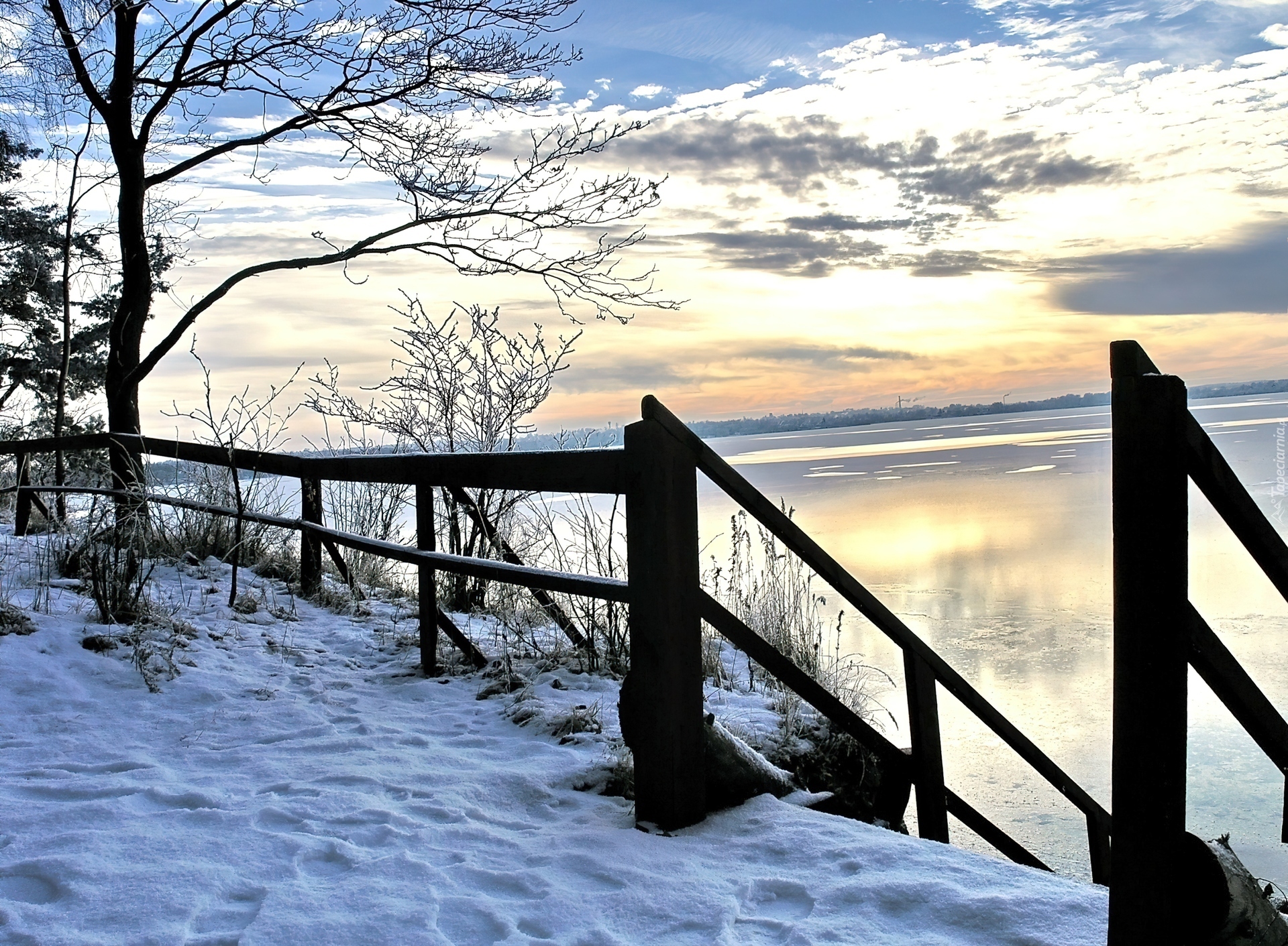 Jezioro, Ogrodzenie, Drzewo, Śnieg