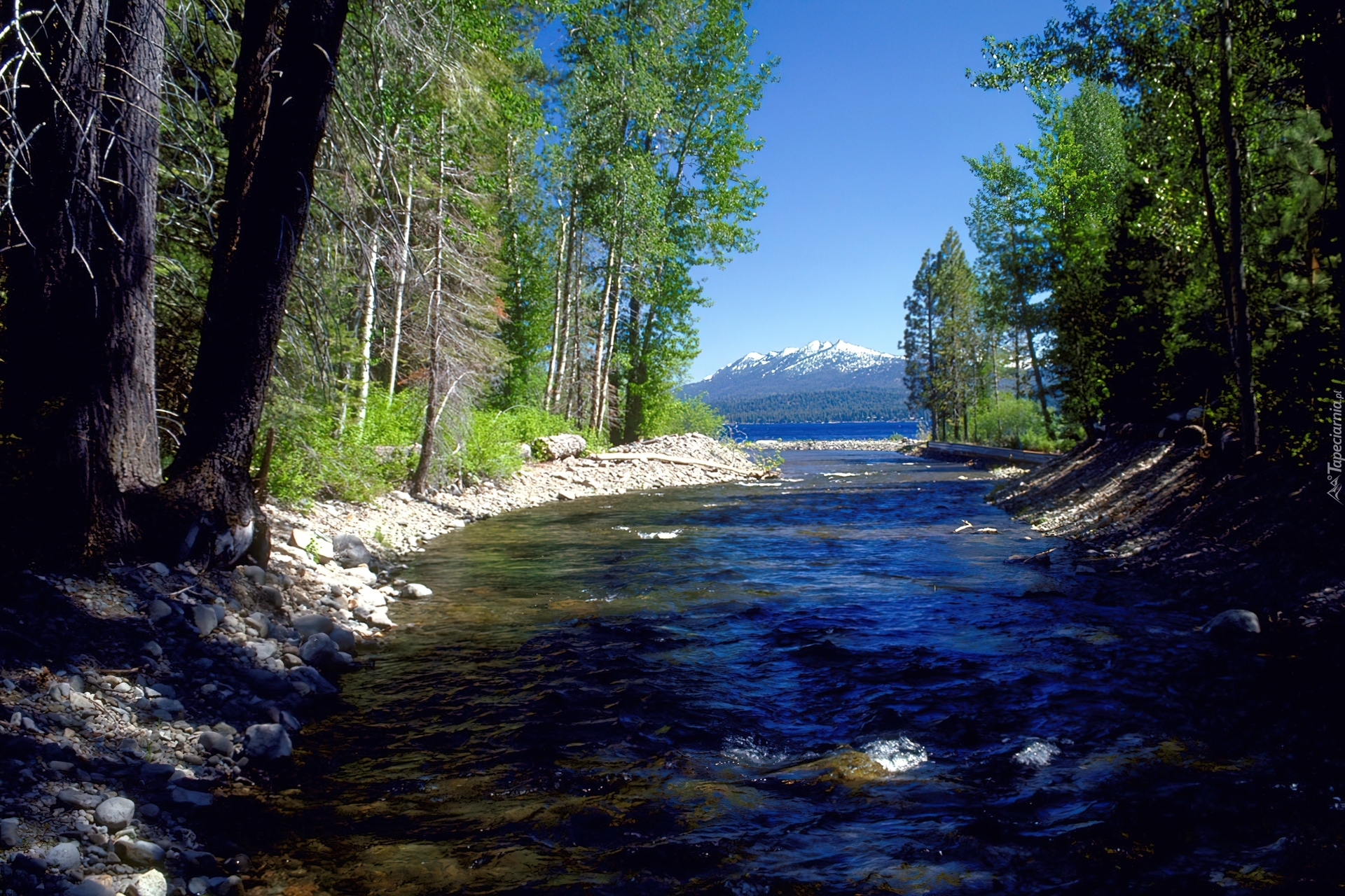 Zatoczka, Jeziora, Zalesione, Brzegi, Tahoe, Kalifornia