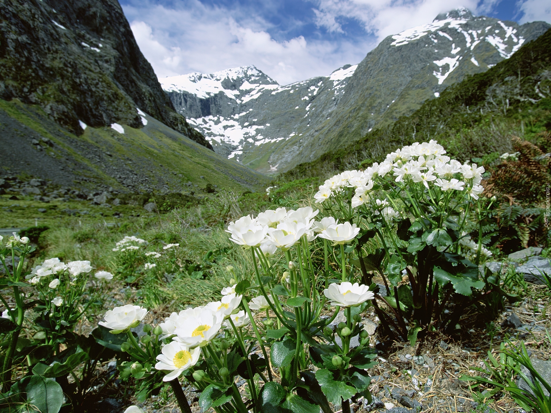 Jaskry, Wysokogórskie, Góry, Fjordland National Park