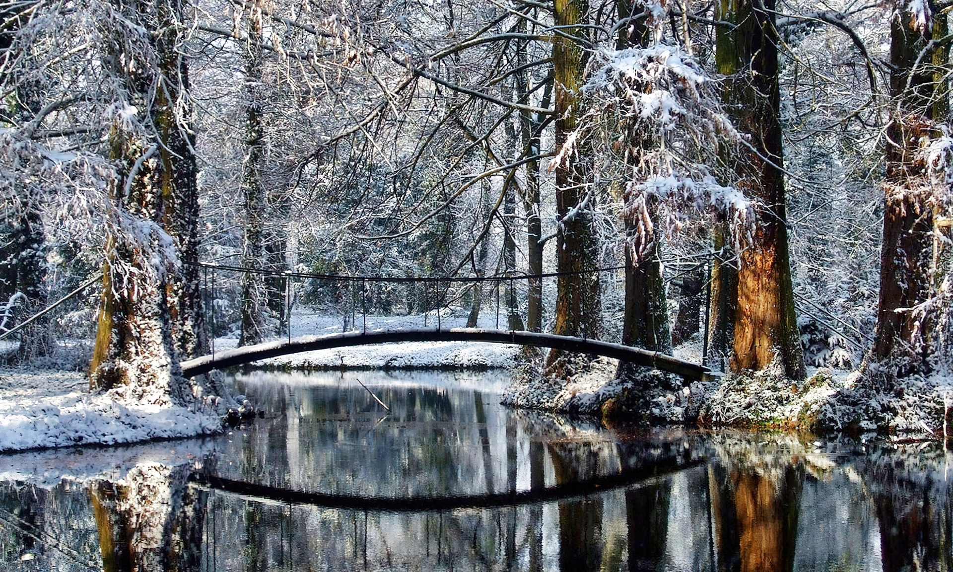 Zima, Las, Rzeczka, Mostek