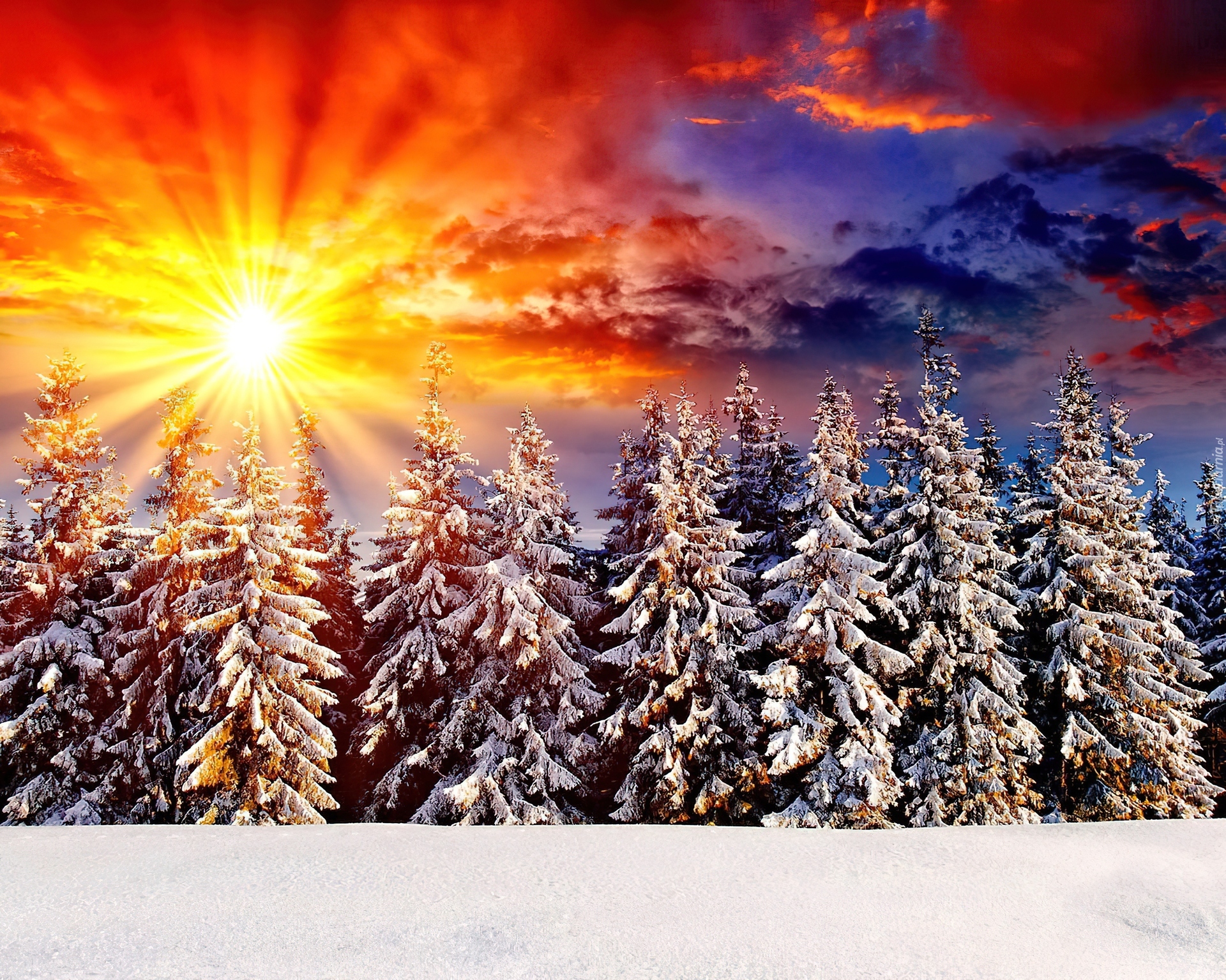 Красивое солнце зима. Солнце зимой. Рассвет зимой. Солнечная зима. Солнце рассвет зима.