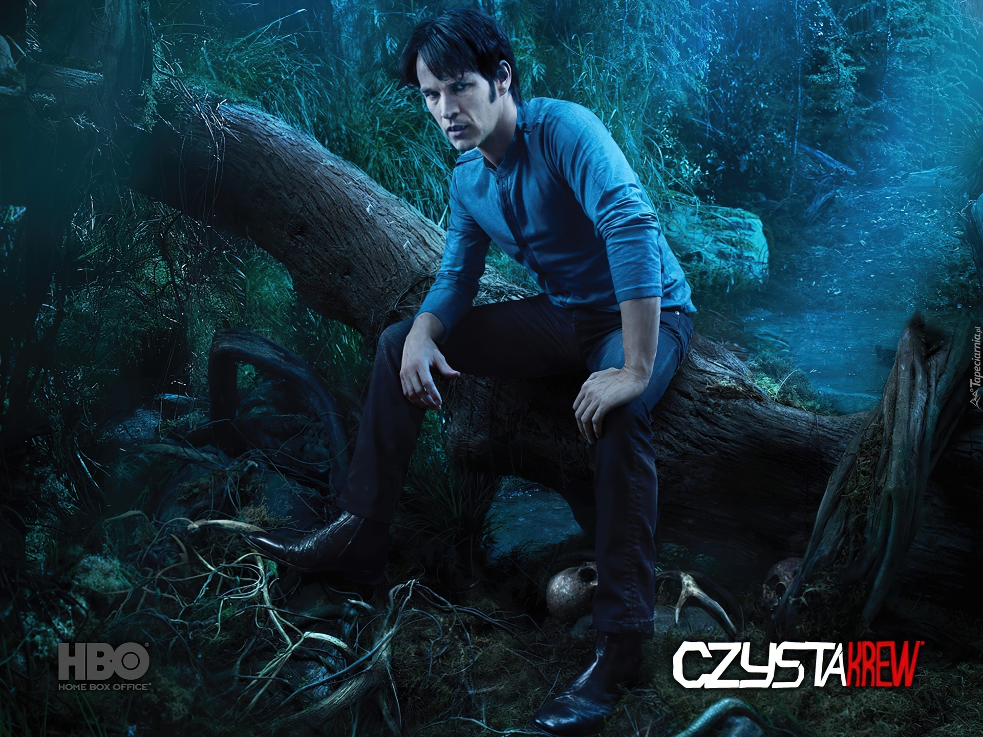 Czysta krew, True Blood, Bill Compton - Stephen Moyer