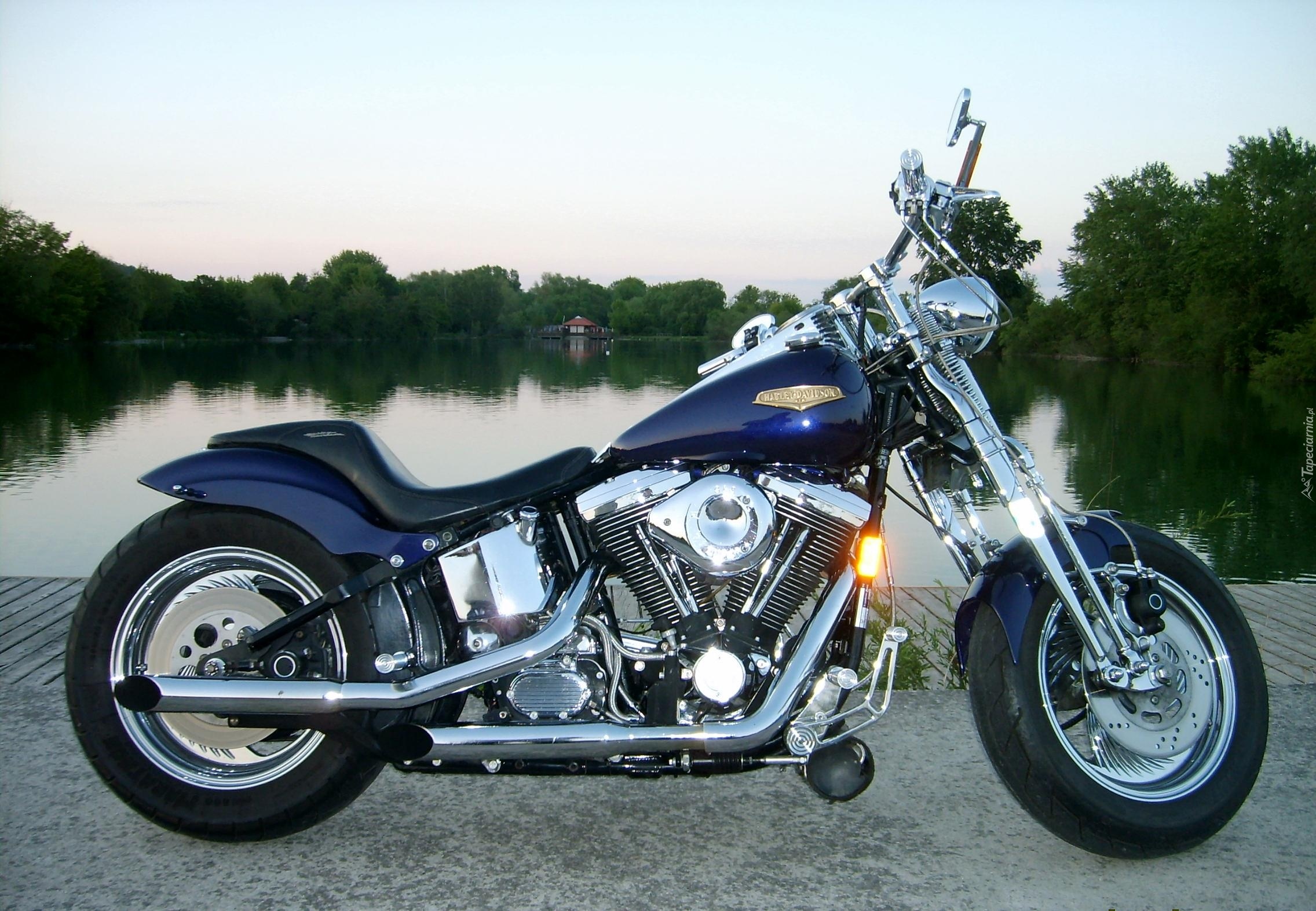 Motor, Harley-Davidson Springer