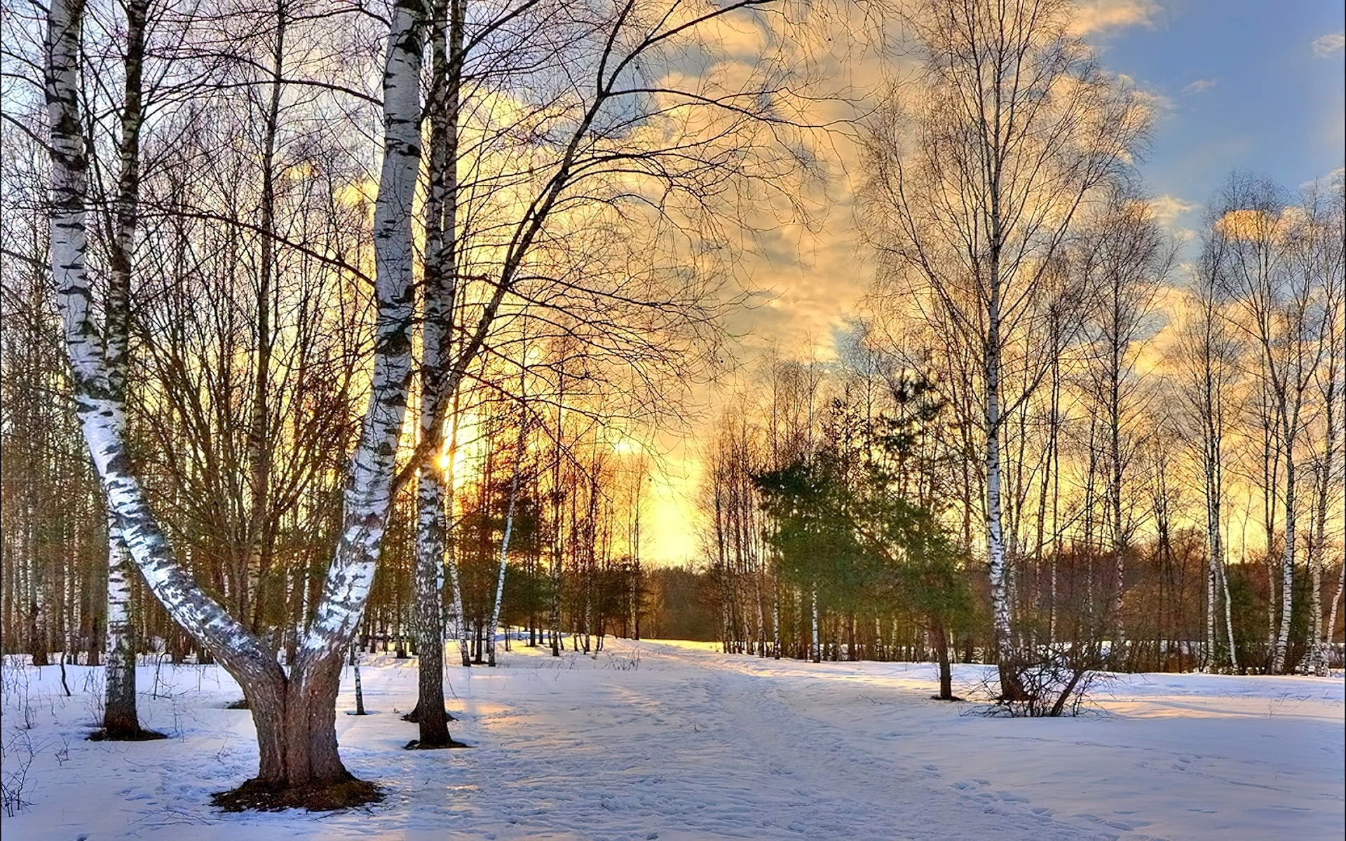 Las, Zachód Słońca, Śnieg, Drzewa