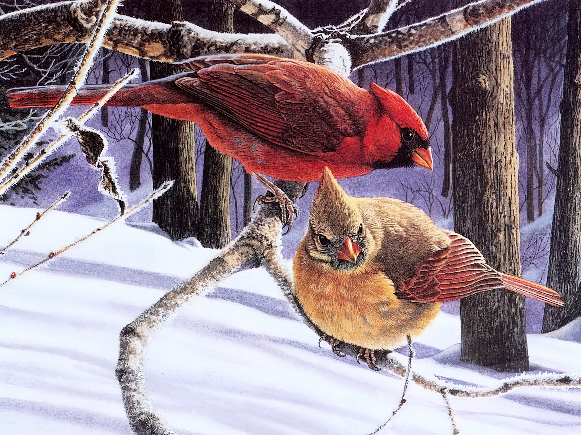 Птицы и животные какой жанр. Птицы живопись. Картина птицы. Звери и птицы зимой. Птицы в зимнем лесу.