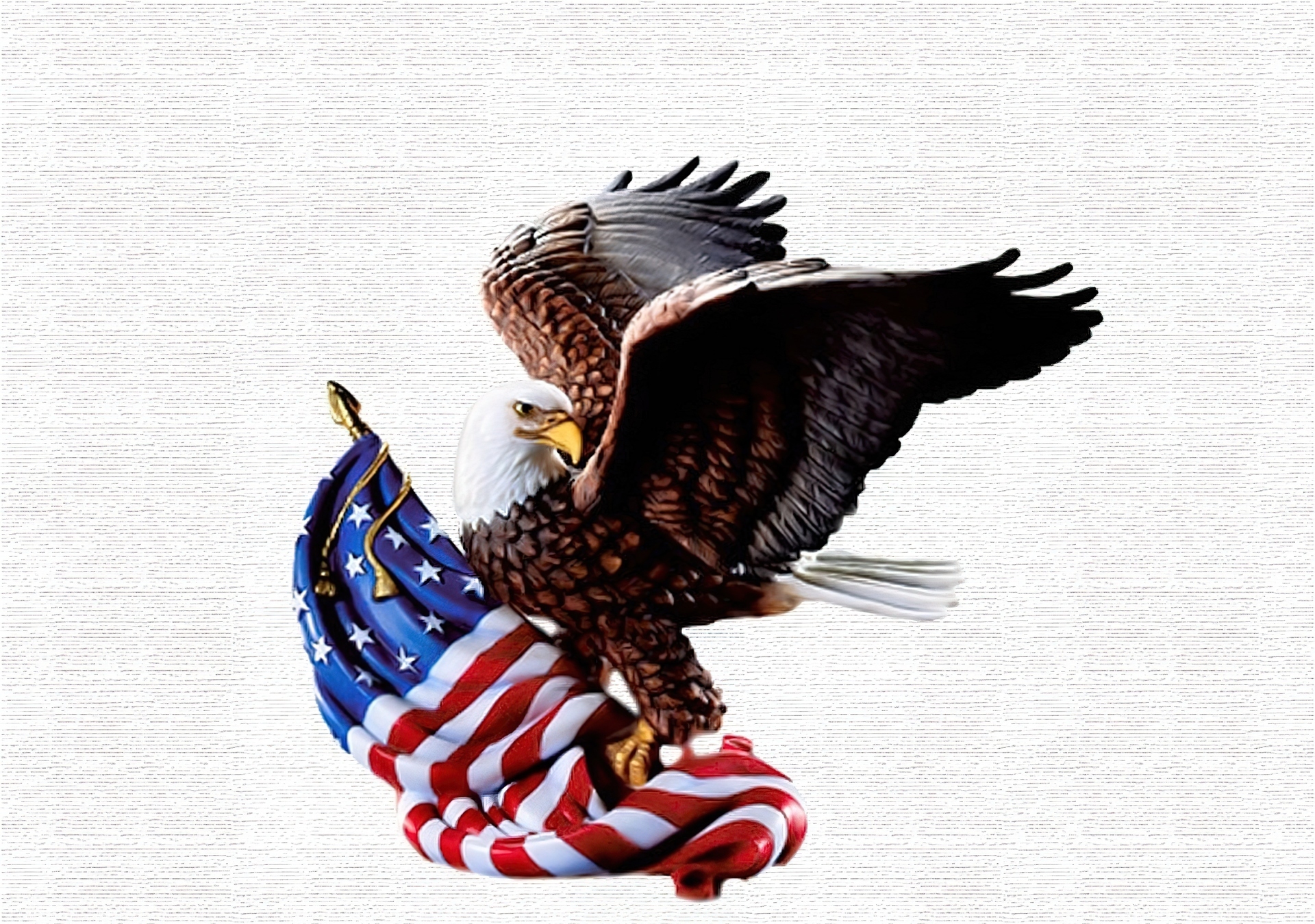 Bielik amerykański, Flaga, Amerykańska