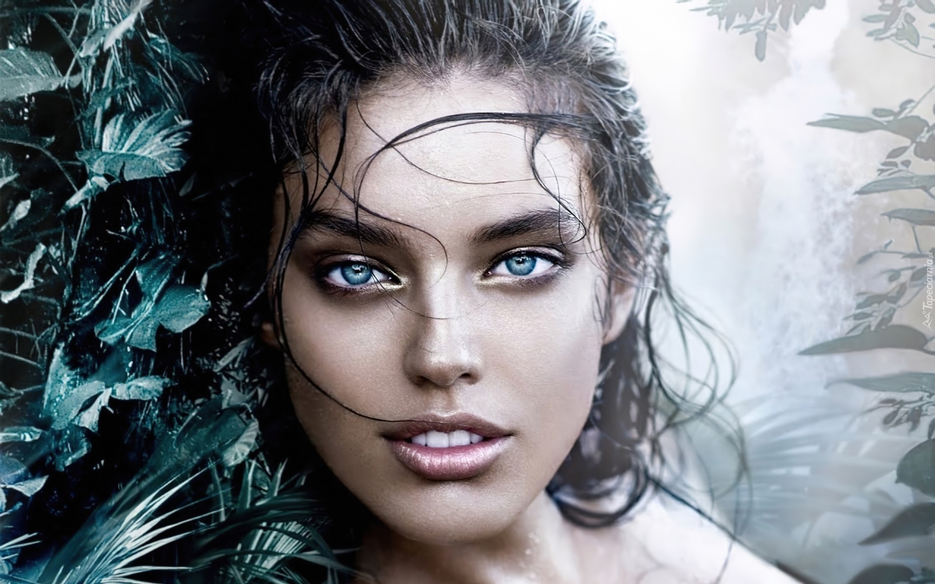 Emily Didonato, Intrygujące, Spojrzenie