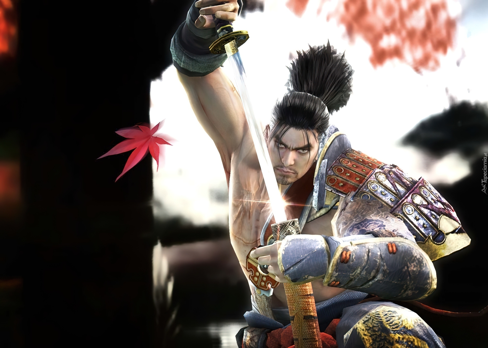 Soul Calibur IV, Mitsurugi