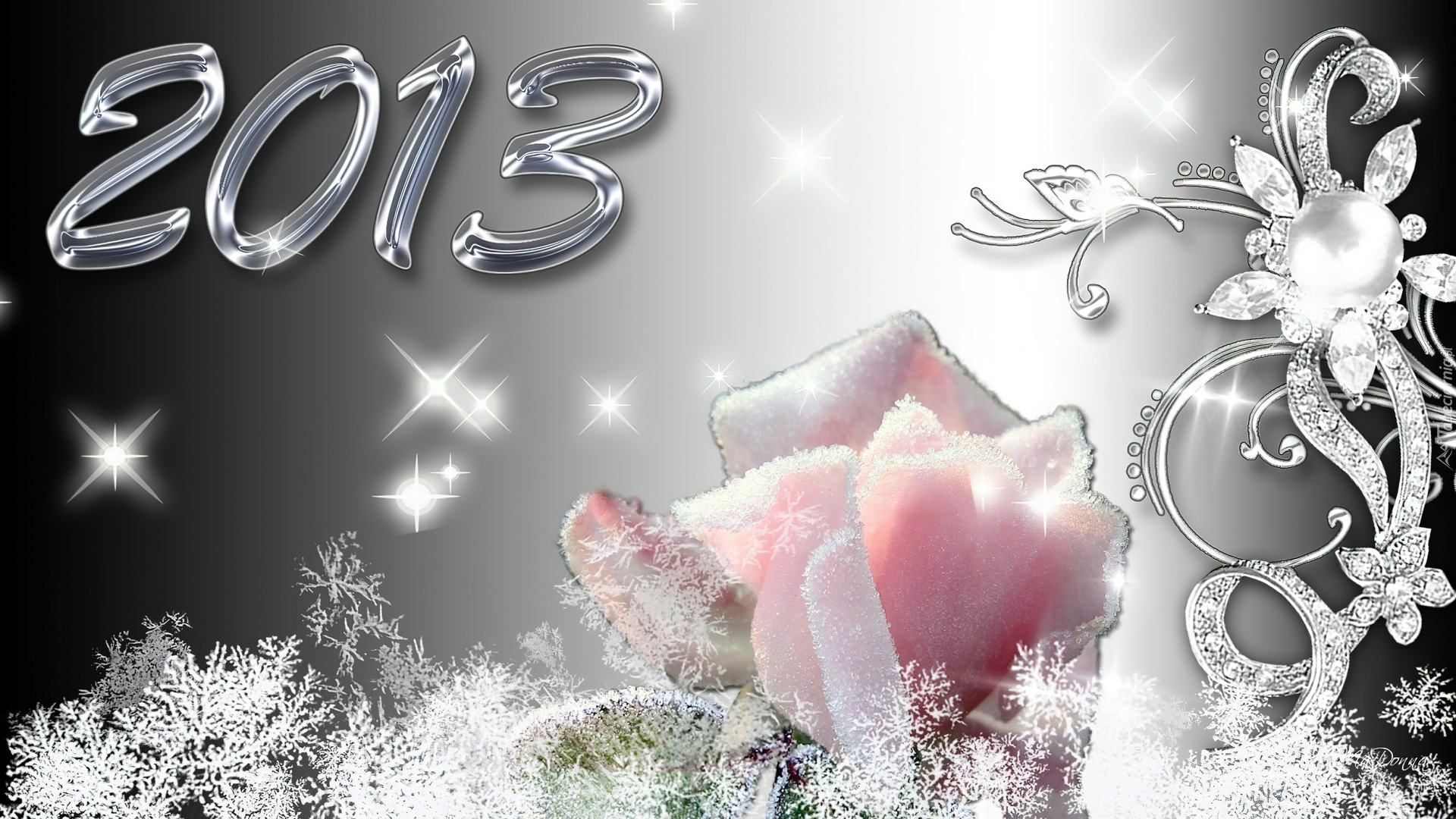 Nowy Rok 2013, Róża