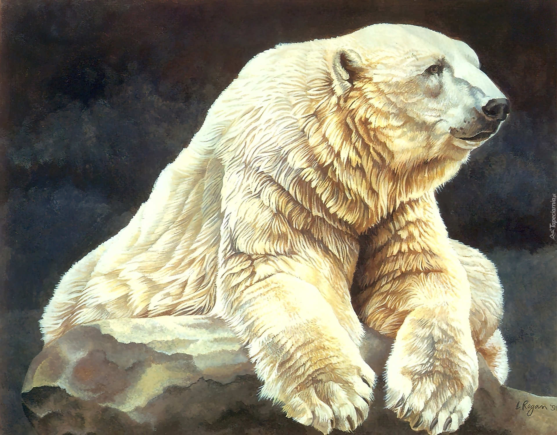 Niedźwiedź, Polarny, Malarstwo
