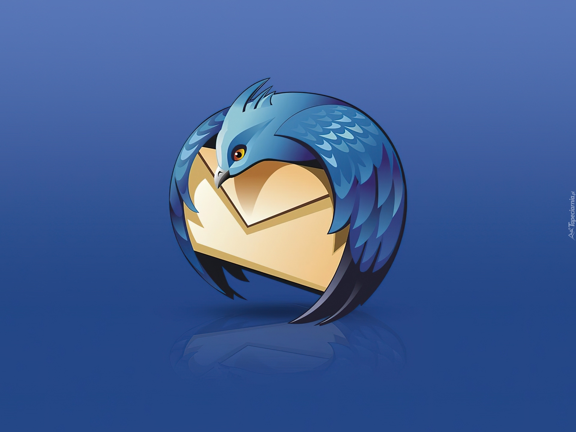 FireFox Thunderbird