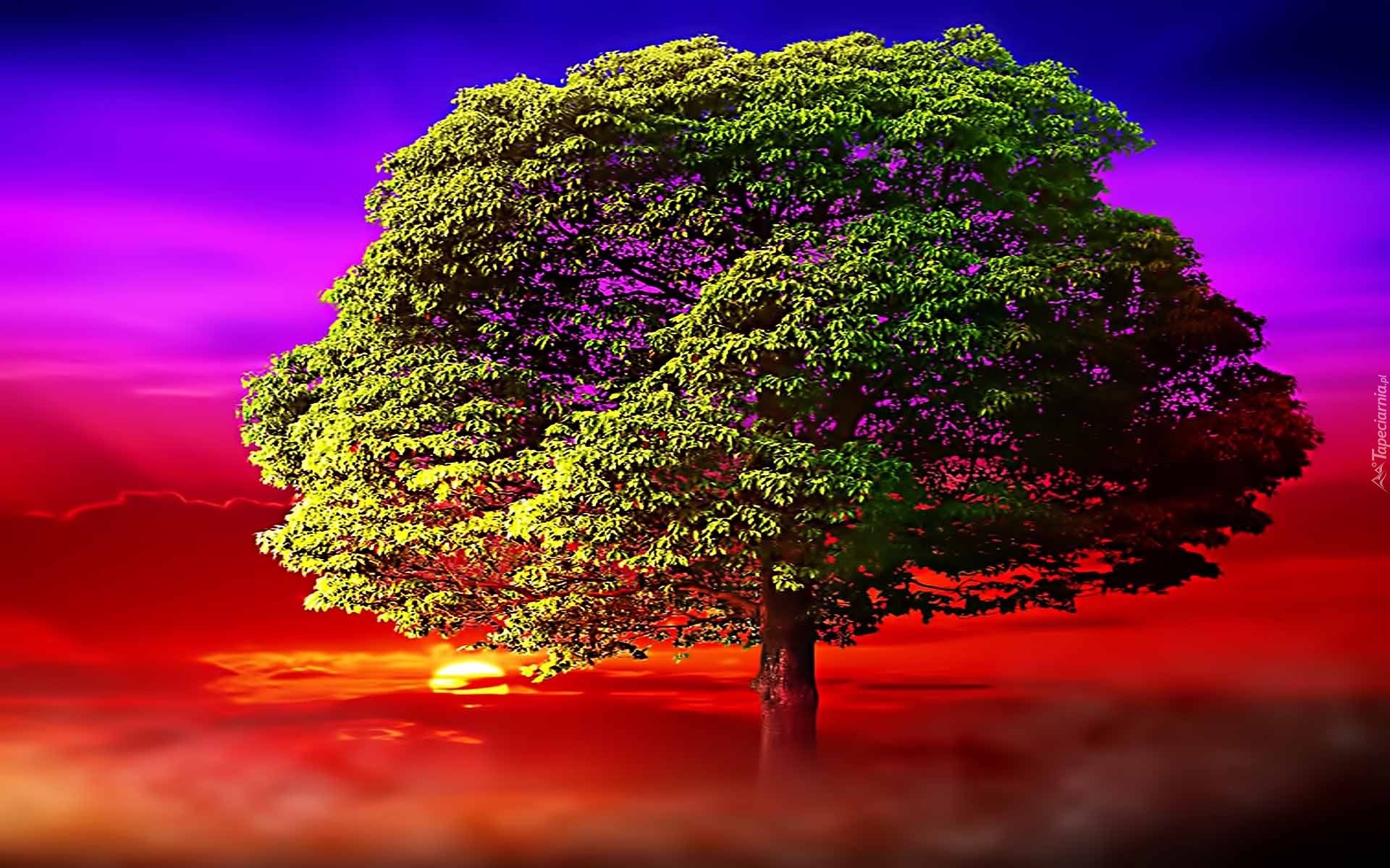 Условия жизни деревьев. Дерево жизни. Красивое Древо. Дерево життя. Фон для генеалогического древа.