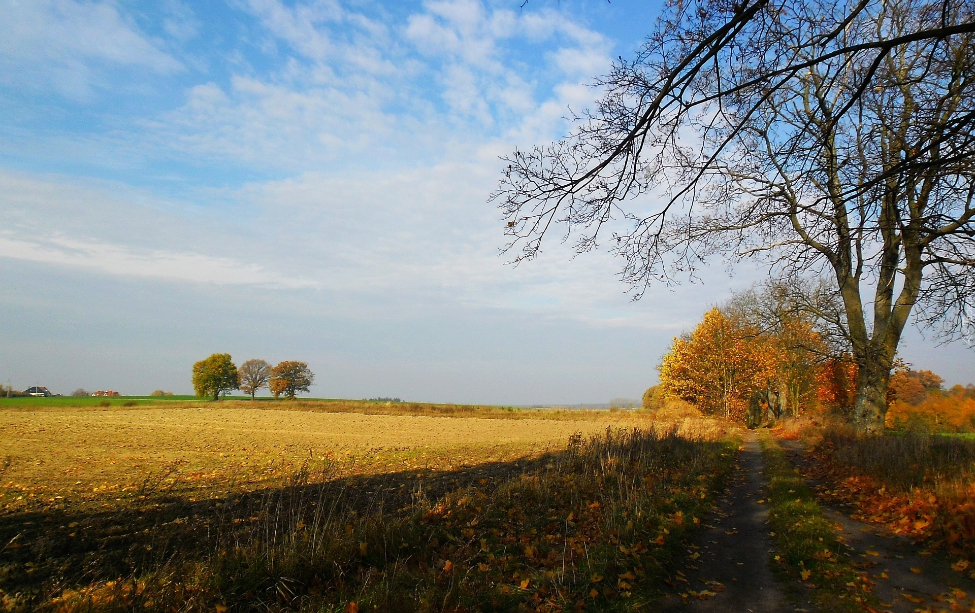 Polna, Droga, Jesień
